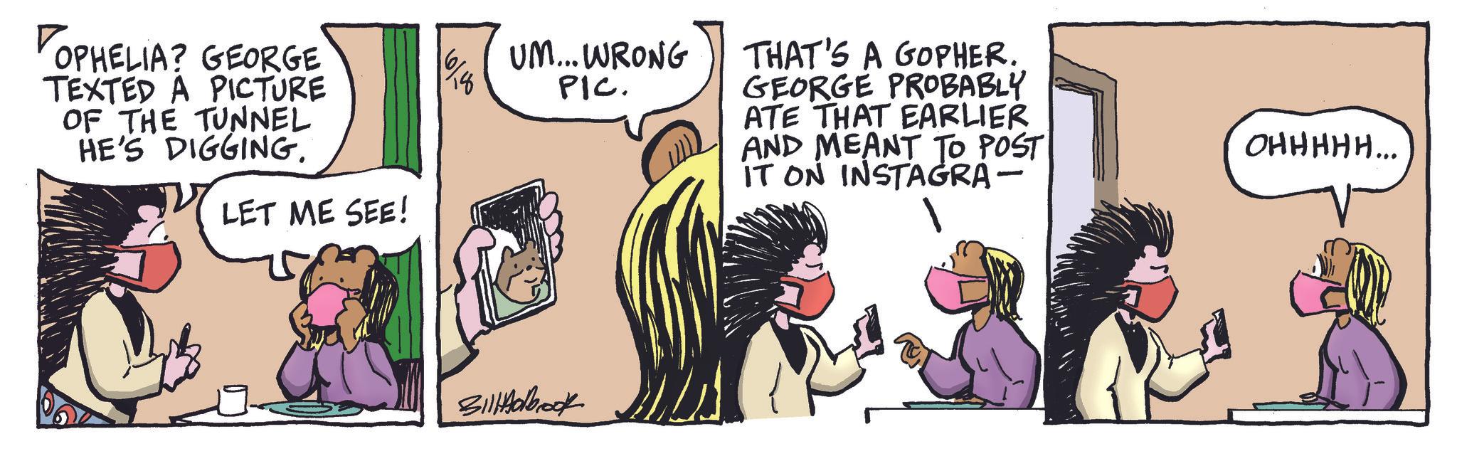 Fictional character OCR: 6160 ? OPHELIA? GEORGE TEXTED A PICTURE OF THE TUNNEL HE'S DIGGING. LET ME SEE! UM... WRONG PIC. THAT'S A GOPHER. GEORGE PROBABLY ATE THAT EARLIER AND MEANT TO POST IT ON INSTAGRA- OHHHHH... Bill Holbrook 6160 ? OPHELIA ? GEORGE TEXTED A PICTURE OF THE TUNNEL HE'S DIGGING . LET ME SEE ! UM ... WRONG PIC . THAT'S A GOPHER . GEORGE PROBABLY ATE THAT EARLIER AND MEANT TO POST IT ON INSTAGRA- OHHHHH ... Bill Holbrook
