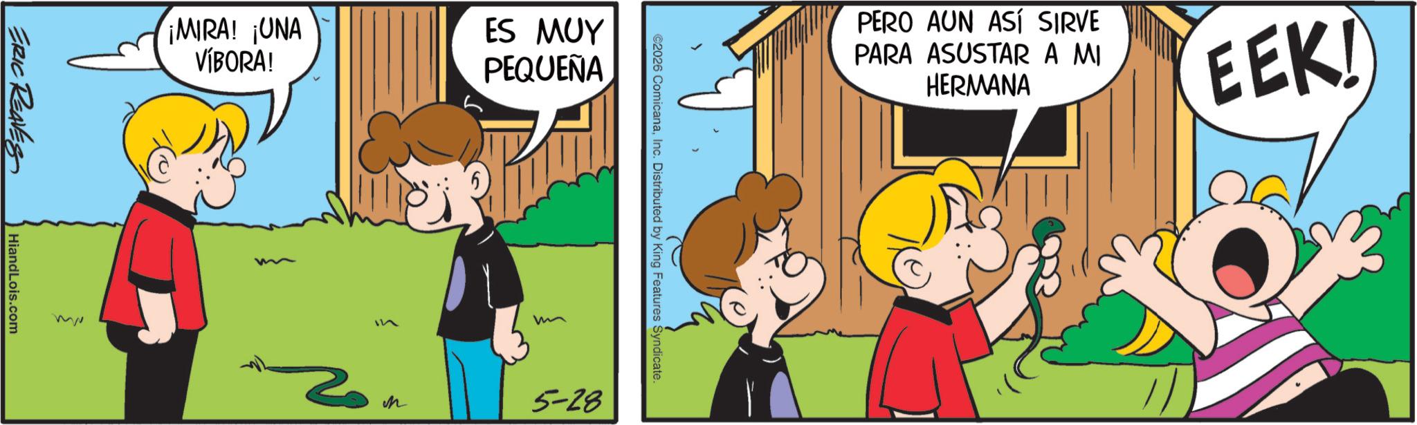Fictional character OCR: ERIC REAVES Hiand Lois.com m ¡MIRA! ¡UNA VÍBORA! ES MUY PEQUEÑA ©2026 ComicanaInc. Distributed by King Features Syndicate. n 5-28 PERO AUN ASÍ SIRVE PARA ASUSTAR A MI HERMANA EEK! ERIC REAVES Hiand Lois.com m ¡ MIRA ! ¡ UNA VÍBORA ! ES MUY PEQUEÑA © 2026 ComicanaInc. Distributed by King Features Syndicate . n 5-28 PERO AUN ASÍ SIRVE PARA ASUSTAR A MI HERMANA EEK !