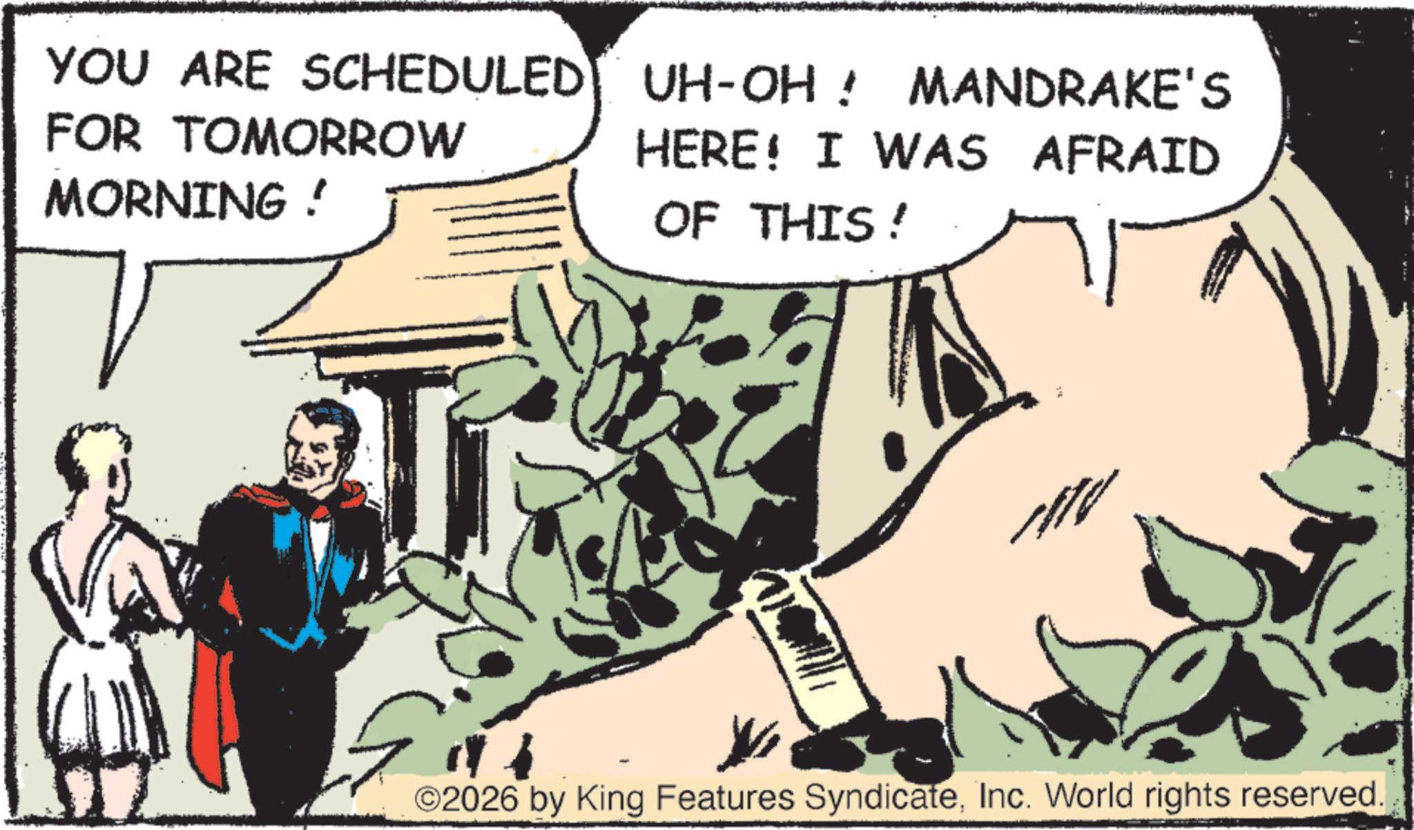 Animated cartoon OCR: YOU ARE SCHEDULED FOR TOMORROW MORNING! UH-OH! MANDRAKE'S HERE! I WAS AFRAID OF THIS! ©2026 by King Features SyndicateInc. World rights reserved. YOU ARE SCHEDULED FOR TOMORROW MORNING ! UH - OH ! MANDRAKE'S HERE ! I WAS AFRAID OF THIS ! © 2026 by King Features SyndicateInc. World rights reserved .