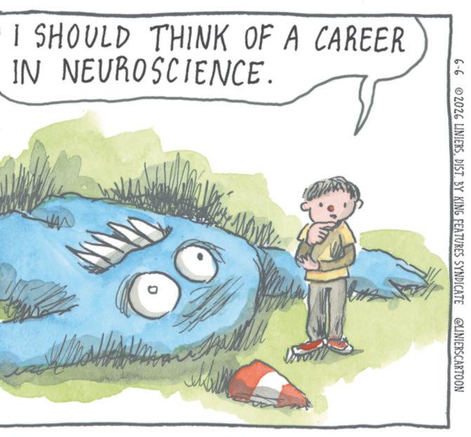 Child art OCR: I SHOULD THINK OF A CAREER IN NEUROSCIENCE. 6-6 2026 LINIERSDIST. BY KING FEATURES SYNDICATE @LINIERSCARTOON I SHOULD THINK OF A CAREER IN NEUROSCIENCE . 6-6 2026 LINIERSDIST . BY KING FEATURES SYNDICATE @LINIERSCARTOON