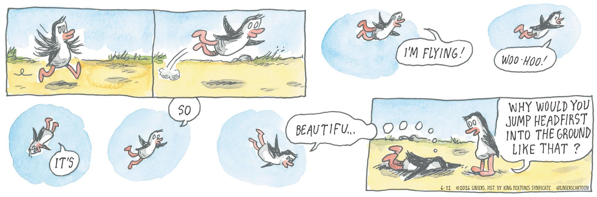 Animation OCR: IT'S SO BEAUTIFU... I'M FLYING! WOO-HOO! WHY WOULD YOU JUMP HEADFIRST INTO THE GROUND LIKE THAT? 6-12 2026 LINIERSDIST. BY KING FEATURES SYNDICATE @LINIERSCARTOON IT'S SO BEAUTIFU ... I'M FLYING ! WOO - HOO ! WHY WOULD YOU JUMP HEADFIRST INTO THE GROUND LIKE THAT ? 6-12 2026 LINIERSDIST . BY KING FEATURES SYNDICATE @LINIERSCARTOON