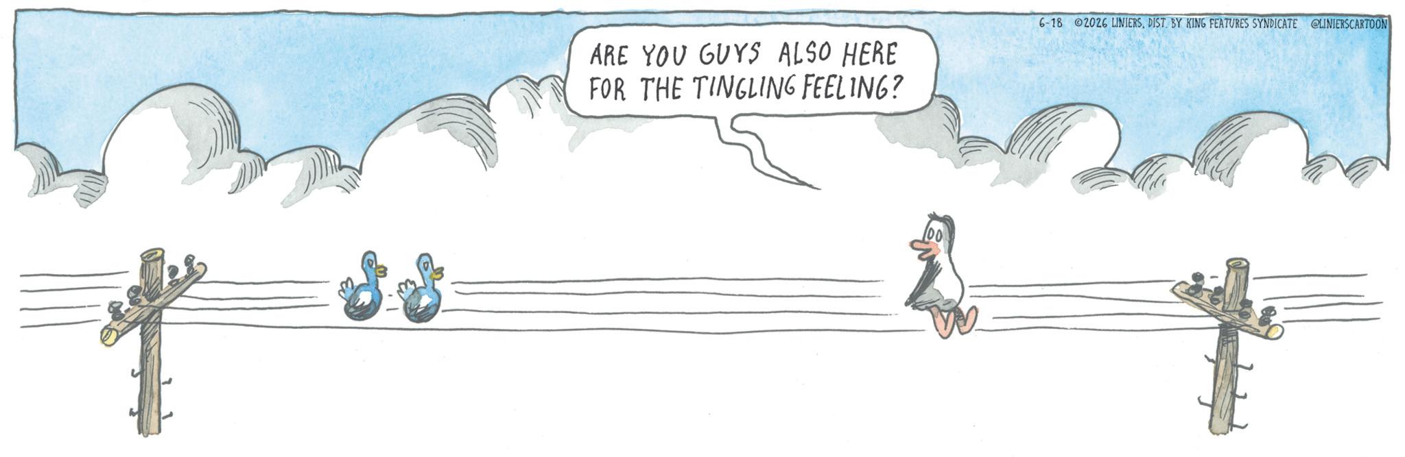 Child art OCR: ARE YOU GUYS ALSO HERE FOR THE TINGLING FEELING? 6-18 2026 LINIERSDIST. BY KING FEATURES SYNDICATE @LINIERSCARTOON ARE YOU GUYS ALSO HERE FOR THE TINGLING FEELING ? 6-18 2026 LINIERSDIST . BY KING FEATURES SYNDICATE @LINIERSCARTOON