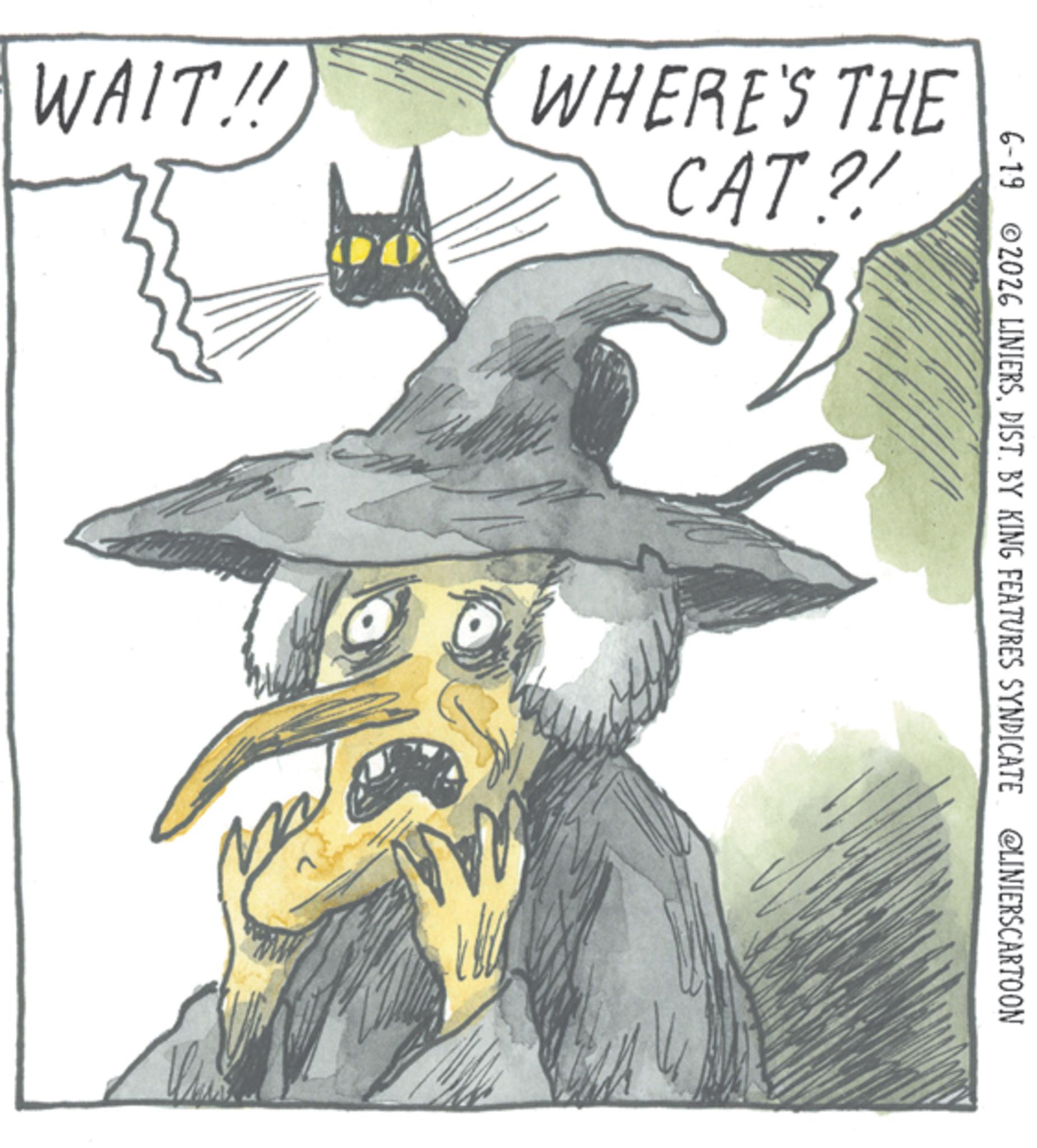 Animation OCR: WAIT!! WHERE'S THE CAT?! 6-19 ©2026 LINIERSDIST. BY KING FEATURES SYNDICATE @LINIERSCARTOON WAIT !! WHERE'S THE CAT ?! 6-19 © 2026 LINIERSDIST . BY KING FEATURES SYNDICATE @LINIERSCARTOON