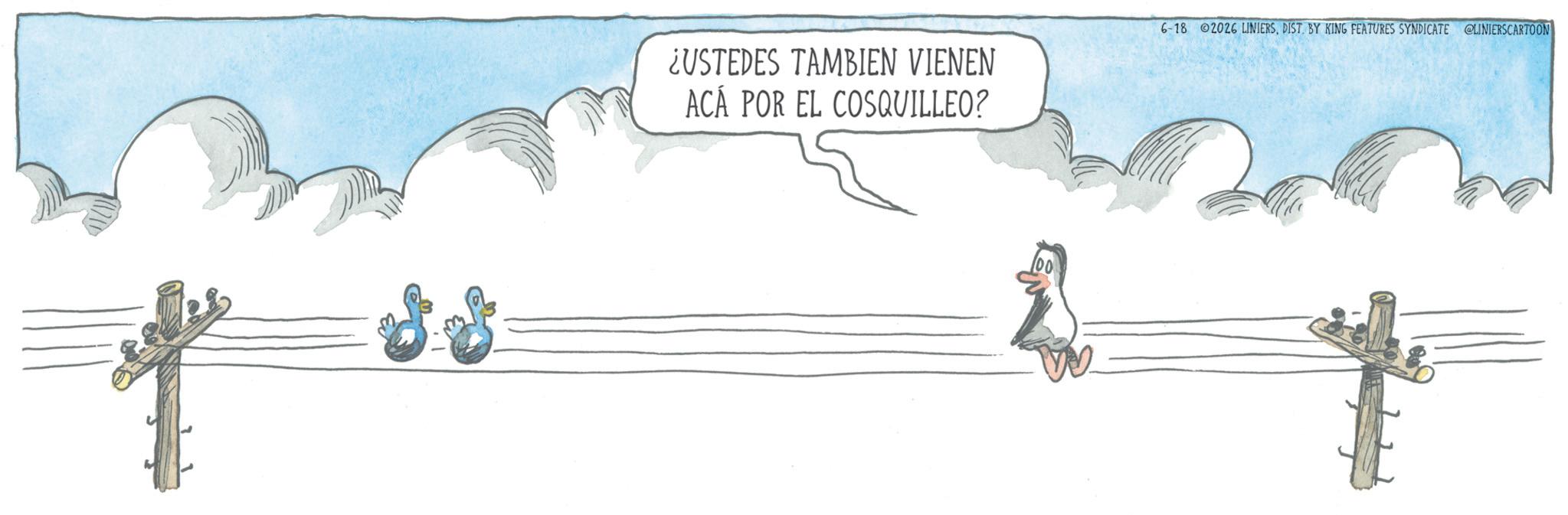Graphics OCR: ¿USTEDES TAMBIEN VIENEN ACÁ POR EL COSQUILLEO? 6-18 2026 LINIERSDIST. BY KING FEATURES SYNDICATE @LINIERSCARTOON 100 ¿ USTEDES TAMBIEN VIENEN ACÁ POR EL COSQUILLEO ? 6-18 2026 LINIERSDIST . BY KING FEATURES SYNDICATE @LINIERSCARTOON 100