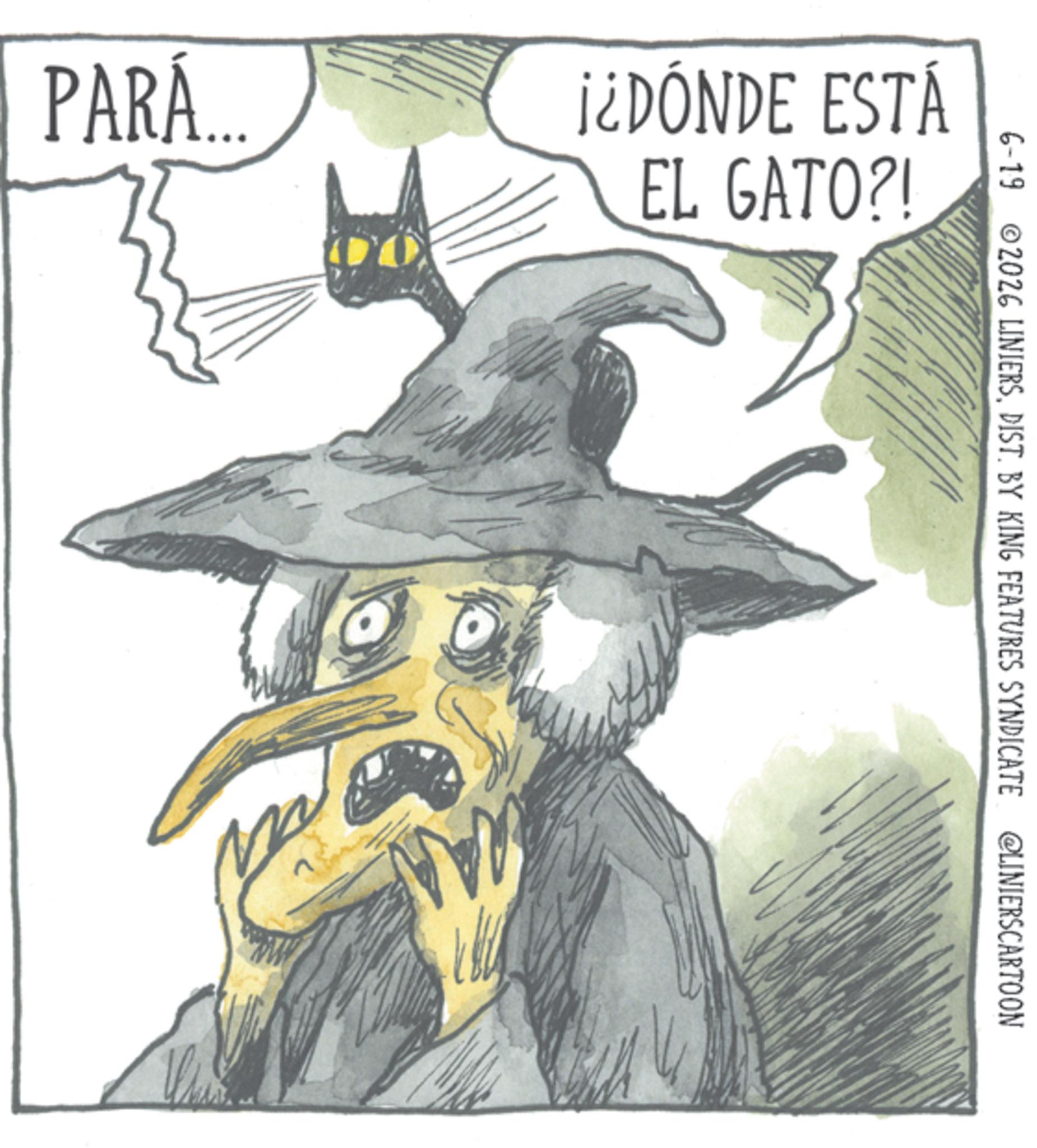 Broom OCR: PARÁ.... ¡¿DÓNDE ESTÁ EL GATO?! 6-19 ©2026 LINIERSDIST. BY KING FEATURES SYNDICATE @LINIERSCARTOON PARÁ .... ¡ ¿ DÓNDE ESTÁ EL GATO ?! 6-19 © 2026 LINIERSDIST . BY KING FEATURES SYNDICATE @LINIERSCARTOON