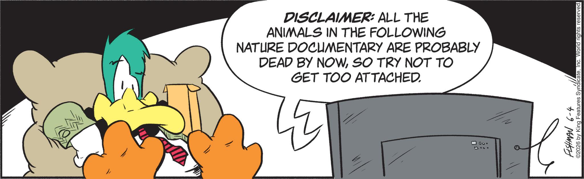 Graphic design OCR: / DISCLAIMER: ALL THE ANIMALS IN THE FOLLOWING NATURE DOCUMENTARY ARE PROBABLY DEAD BY NOWSO TRY NOT TO GET TOO ATTACHED. FISHMAN 6-4 ©2026 by King Features SyndicateInc. World rights reserved. / DISCLAIMER : ALL THE ANIMALS IN THE FOLLOWING NATURE DOCUMENTARY ARE PROBABLY DEAD BY NOWSO TRY NOT TO GET TOO ATTACHED . FISHMAN 6-4 © 2026 by King Features SyndicateInc. World rights reserved .