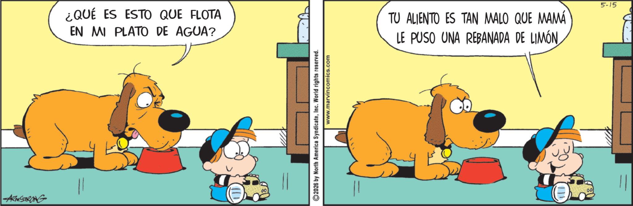 Fictional character OCR: ARMSTRONG ¿QUÉ ES ESTO QUE FLOTA EN MI PLATO DE AGUA? 11 00 2026 by North America SyndicateInc. World rights reserved. www.marvincomics.com TU ALIENTO ES TAN MALO QUE MAMA LE PUSO UNA REBANADA DE LIMÓN 00 5-15 ARMSTRONG ¿ QUÉ ES ESTO QUE FLOTA EN MI PLATO DE AGUA ? 11 00 2026 by North America SyndicateInc. World rights reserved . www.marvincomics.com TU ALIENTO ES TAN MALO QUE MAMA LE PUSO UNA REBANADA DE LIMÓN 00 5-15