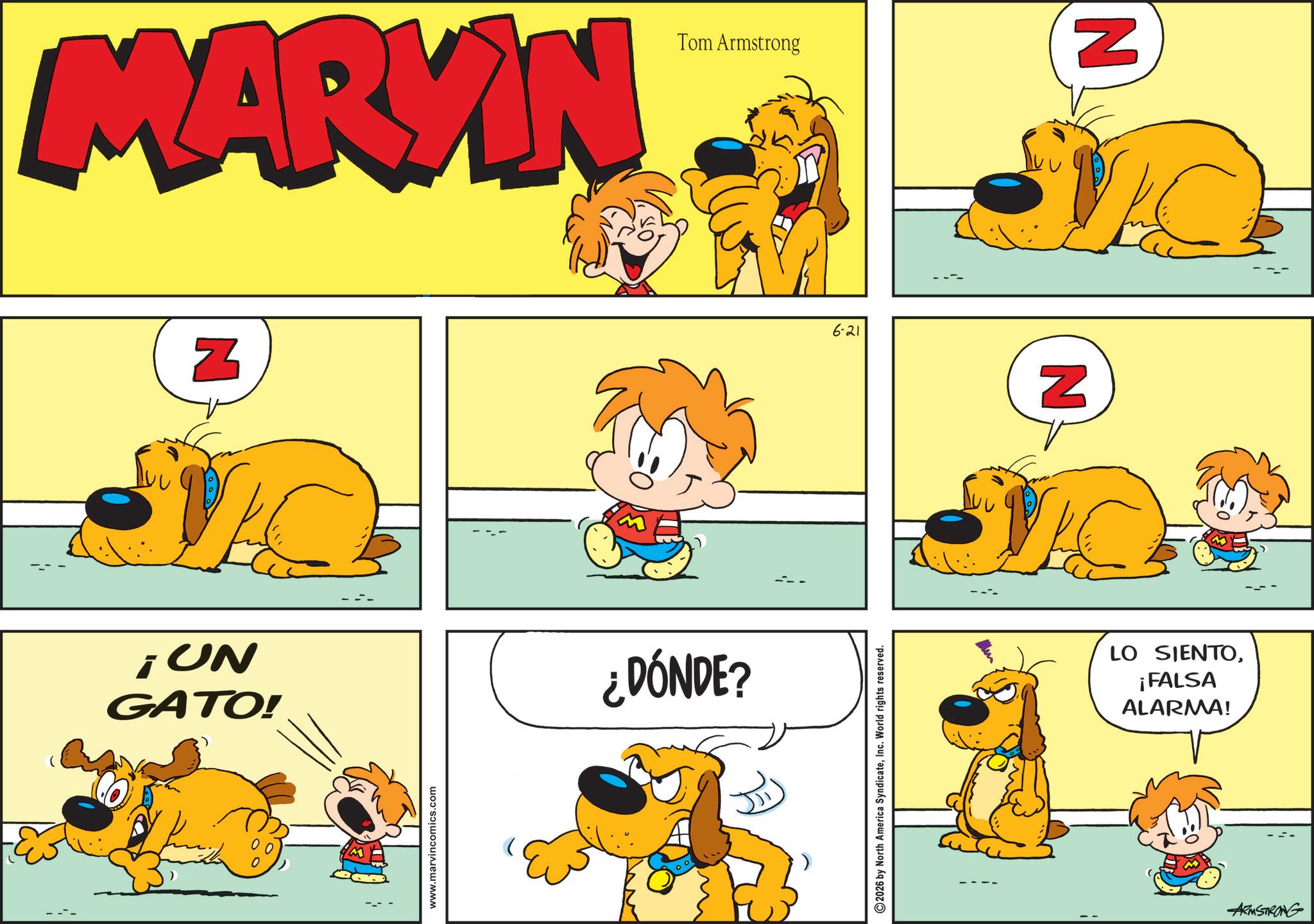 Pleased OCR: NO! GATO! MARYIN Tom Armstrong www.marvincomics.com N ¿DÓNDE? 2026 by North America SyndicateInc. World rights reserved. 6-21 N LO SIENTO¡FALSA ALARMA! ARMSTRONG N NO ! GATO ! MARYIN Tom Armstrong www.marvincomics.com N ¿ DÓNDE ? 2026 by North America SyndicateInc. World rights reserved . 6-21 N LO SIENTO¡ FALSA ALARMA ! ARMSTRONG N
