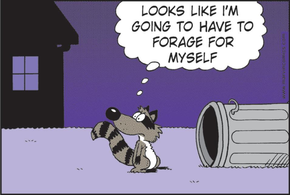 Fictional character OCR: LOOKS LIKE I'M GOING TO HAVE TO FORAGE FOR MYSELF www.marvincomics.com LOOKS LIKE I'M GOING TO HAVE TO FORAGE FOR MYSELF www.marvincomics.com