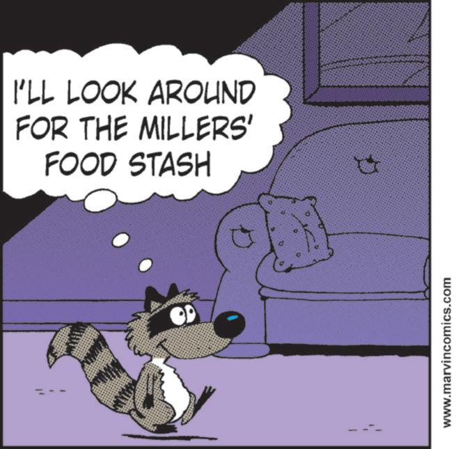 Comics OCR: I'LL LOOK AROUND FOR THE MILLERS' FOOD STASH O www.marvincomics.com I'LL LOOK AROUND FOR THE MILLERS ' FOOD STASH O www.marvincomics.com