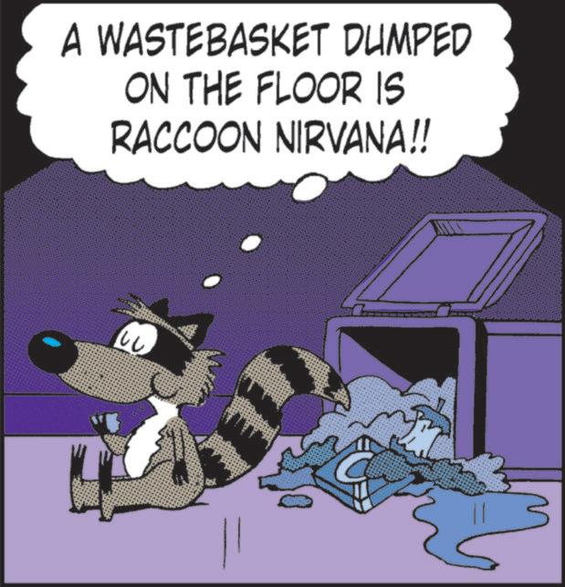 Comics OCR: A WASTEBASKET DUMPED ON THE FLOOR IS RACCOON NIRVANA!! ?? A WASTEBASKET DUMPED ON THE FLOOR IS RACCOON NIRVANA !! ??