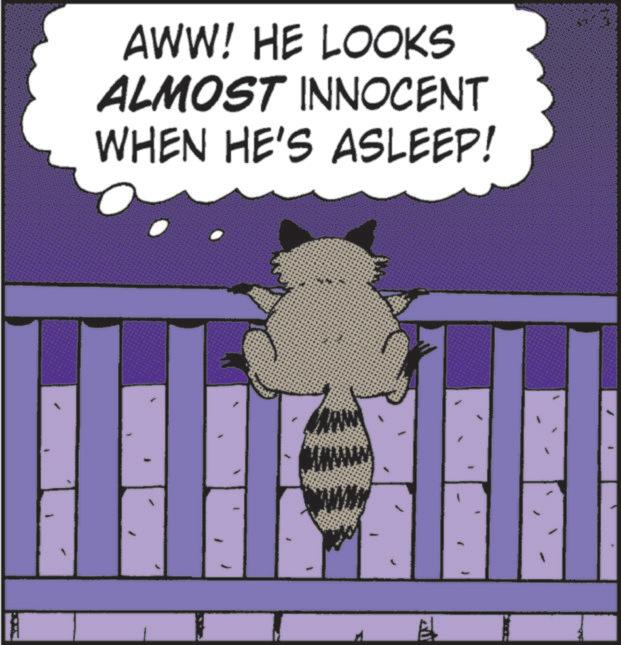 Felidae OCR: AWW! HE LOOKS ALMOST INNOCENT WHEN HE'S ASLEEP! TU AWW ! HE LOOKS ALMOST INNOCENT WHEN HE'S ASLEEP ! TU