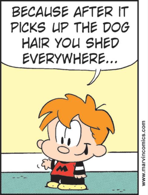 Comic book OCR: BECAUSE AFTER IT PICKS UP THE DOG HAIR YOU SHED EVERYWHERE... ? www.marvincomics.com BECAUSE AFTER IT PICKS UP THE DOG HAIR YOU SHED EVERYWHERE ... ? www.marvincomics.com