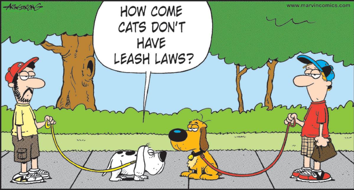 Animal training OCR: ARMSTRONG HOW COME CATS DON'T HAVE LEASH LAWS? www.marvincomics.com -WK ARMSTRONG HOW COME CATS DON'T HAVE LEASH LAWS ? www.marvincomics.com -WK