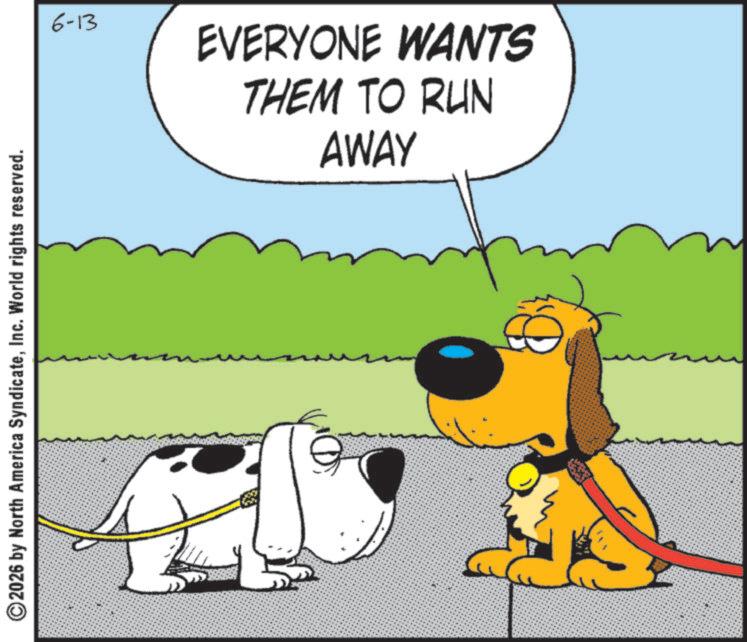 Canidae OCR: ©2026 by North America SyndicateInc. World rights reserved. 6-13 THEM TO RUN EVERYONE WANTS AWAY © 2026 by North America SyndicateInc. World rights reserved . 6-13 THEM TO RUN EVERYONE WANTS AWAY