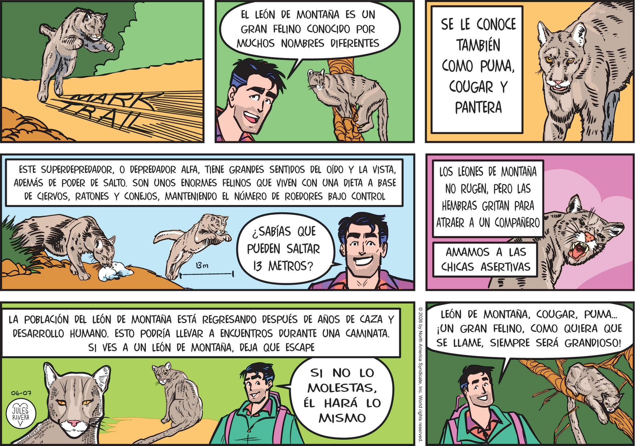 Publication OCR: EL LEÓN DE MONTAÑA ES UN GRAN FELINO CONOCIDO POR MUCHOS NOMBRES DIFERENTES SE LE CONOCE TAMBIÉN COMO PUMACOUGAR Y PANTERA 1111 RAIL ESTE SUPERDEPREDADORADEMÁS DE PODER DE SALTO. SON UNOS ENORMES FELINOS QUE VIVEN CON UNA DIETA A BASE DE CIERVOSMANTENIENDO EL NÚMERO DE ROEDORES BAJO CONTROL ¿SABÍAS QUE PUEDEN SALTAR 13m 13 METROS? LOS LEONES DE MONTAÑA NO RUGENPERO LAS HEMBRAS GRITAN PARA ATRAER A UN COMPAÑERO AMAMOS A LAS CHICAS ASERTIVAS LEÓN DE MONTAÑAPUMA... ¡UN GRAN FELINOCOMO QUIERA QUE SE LLAMESIEMPRE SERÁ GRANDIOSO! 2026 by North America SyndicateInc. World rights reserved. LA POBLACIÓN DEL LEÓN DE MONTAÑA ESTÁ REGRESANDO DESPUÉS DE AÑOS DE CAZA Y DESARROLLO HUMANO. ESTO PODRÍA LLEVAR A ENCUENTROS DURANTE UNA CAMINATA. SI VES A UN LEÓN DE MONTAÑADEJA QUE ESCAPE 06-07 JULES RIVERA SI NO LO MOLESTASÉL HARÁ LO MISMO EL LEÓN DE MONTAÑA ES UN GRAN FELINO CONOCIDO POR MUCHOS NOMBRES DIFERENTES SE LE CONOCE TAMBIÉN COMO PUMACOUGAR Y PANTERA 1111 RAIL ESTE SUPERDEPREDADORO DEPREDADOR ALFATIENE GRANDES SENTIDOS DEL OÍDO Y LA VISTAADEMÁS DE PODER DE SALTO . SON UNOS ENORMES FELINOS QUE VIVEN CON UNA DIETA A BASE DE CIERVOSRATONES Y CONEJOSMANTENIENDO EL NÚMERO DE ROEDORES BAJO CONTROL ¿ SABÍAS QUE PUEDEN SALTAR 13m 13 METROS ? LOS LEONES DE MONTAÑA NO RUGENPERO LAS HEMBRAS GRITAN PARA ATRAER A UN COMPAÑERO AMAMOS A LAS CHICAS ASERTIVAS LEÓN DE MONTAÑAPUMA ... ¡ UN GRAN FELINOCOMO QUIERA QUE SE LLAMESIEMPRE SERÁ GRANDIOSO ! 2026 by North America SyndicateInc. World rights reserved . LA POBLACIÓN DEL LEÓN DE MONTAÑA ESTÁ REGRESANDO DESPUÉS DE AÑOS DE CAZA Y DESARROLLO HUMANO . ESTO PODRÍA LLEVAR A ENCUENTROS DURANTE UNA CAMINATA . SI VES A UN LEÓN DE MONTAÑADEJA QUE ESCAPE 06-07 JULES RIVERA SI NO LO MOLESTASÉL HARÁ LO MISMO