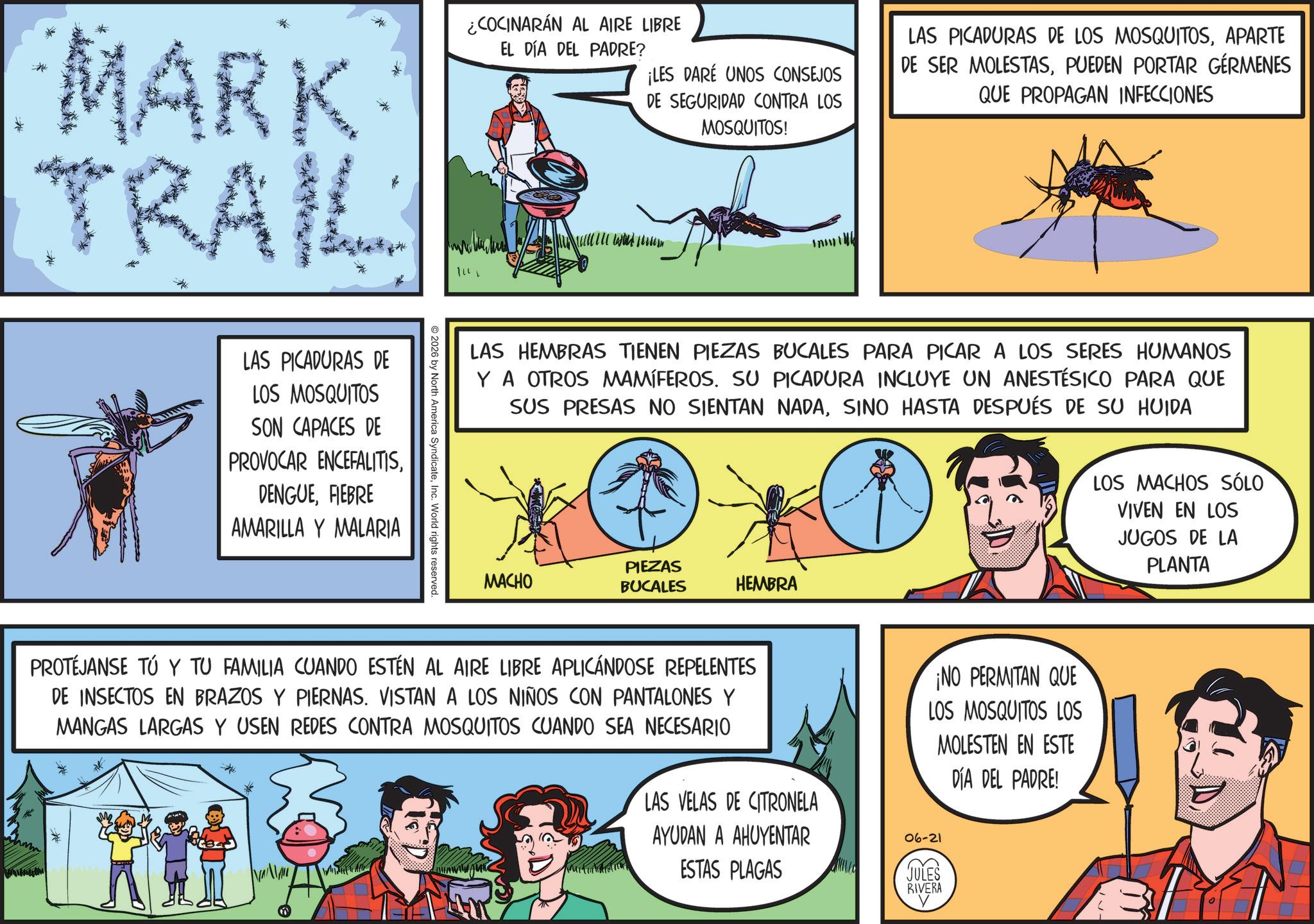 Fiction OCR: MARK TRAIL ¿COCINARÁN AL AIRE LIBRE EL DÍA DEL PADRE? ¡LES DARE UNOS CONSEJOS DE SEGURIDAD CONTRA LOS MOSQUITOS! LAS PICADURAS DE LOS MOSQUITOSAPARTE DE SER MOLESTASPUEDEN PORTAR GERMENES QUE PROPAGAN INFECCIONES LAS PICADURAS DE LOS MOSQUITOS SON CAPACES DE PROVOCAR ENCEFALITISFIEBRE AMARILLA Y MALARIA LAS HEMBRAS TIENEN PIEZAS BUCALES PARA PICAR A LOS SERES HUMANOS Y A OTROS MAMÍFEROS. SU PICADURA INCLUYE UN ANESTÉSICO PARA QUE SUS PRESAS NO SIENTAN NADASINO HASTA DESPUÉS DE SU HUIDA 2026 by North America SyndicateInc. World rights reserved. MACHO PIEZAS BUCALES HEMBRA LOS MACHOS SÓLO VIVEN EN LOS JUGOS DE LA PLANTA PROTÉJANSE TÚ Y TU FAMILIA CUANDO ESTÉN AL AIRE LIBRE APLICÁNDOSE REPELENTES DE INSECTOS EN BRAZOS Y PIERNAS. VISTAN A LOS NIÑOS CON PANTALONES Y MANGAS LARGAS Y USEN REDES CONTRA MOSQUITOS CUANDO SEA NECESARIO LAS VELAS DE CITRONELA AYUDAN A AHUYENTAR ESTAS PLAGAS ¡NO PERMITAN QUE LOS MOSQUITOS LOS MOLESTEN EN ESTE 06-21 JULES RIVERA DÍA DEL PADRE! MARK TRAIL ¿ COCINARÁN AL AIRE LIBRE EL DÍA DEL PADRE ? ¡ LES DARE UNOS CONSEJOS DE SEGURIDAD CONTRA LOS MOSQUITOS ! LAS PICADURAS DE LOS MOSQUITOSAPARTE DE SER MOLESTASPUEDEN PORTAR GERMENES QUE PROPAGAN INFECCIONES LAS PICADURAS DE LOS MOSQUITOS SON CAPACES DE PROVOCAR ENCEFALITISFIEBRE AMARILLA Y MALARIA LAS HEMBRAS TIENEN PIEZAS BUCALES PARA PICAR A LOS SERES HUMANOS Y A OTROS MAMÍFEROS . SU PICADURA INCLUYE UN ANESTÉSICO PARA QUE SUS PRESAS NO SIENTAN NADASINO HASTA DESPUÉS DE SU HUIDA 2026 by North America SyndicateInc. World rights reserved . MACHO PIEZAS BUCALES HEMBRA LOS MACHOS SÓLO VIVEN EN LOS JUGOS DE LA PLANTA PROTÉJANSE TÚ Y TU FAMILIA CUANDO ESTÉN AL AIRE LIBRE APLICÁNDOSE REPELENTES DE INSECTOS EN BRAZOS Y PIERNAS . VISTAN A LOS NIÑOS CON PANTALONES Y MANGAS LARGAS Y USEN REDES CONTRA MOSQUITOS CUANDO SEA NECESARIO LAS VELAS DE CITRONELA AYUDAN A AHUYENTAR ESTAS PLAGAS ¡ NO PERMITAN QUE LOS MOSQUITOS LOS MOLESTEN EN ESTE 06-21 JULES RIVERA DÍA DEL PADRE !