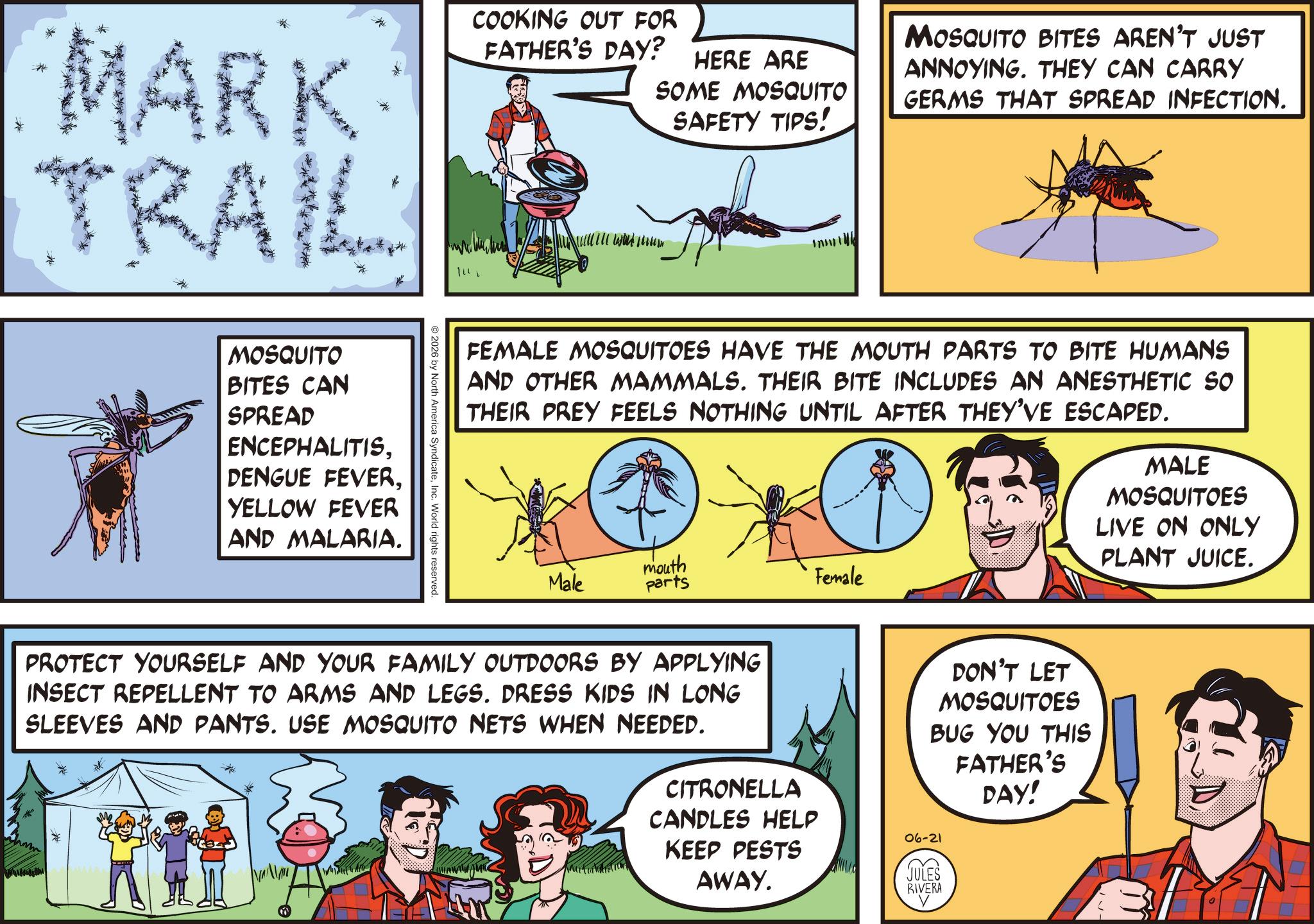 Pest OCR: MARK TRAIL 1112 COOKING OUT FOR FATHER'S DAY? HERE ARE SOME MOSQUITO SAFETY TIPS! MOSQUITO BITES AREN'T JUST ANNOYING. THEY CAN CARRY GERMS THAT SPREAD INFECTION. FEMALE MOSQUITOES HAVE THE MOUTH PARTS TO BITE HUMANS AND OTHER MAMMALS. THEIR BITE INCLUDES AN ANESTHETIC SO THEIR PREY FEELS NOTHING UNTIL AFTER THEY'VE ESCAPED. Male mouth parts Female MALE MOSQUITOES LIVE ON ONLY PLANT JUICE. 2026 by North America SyndicateInc. World rights reserved. MOSQUITO BITES CAN SPREAD ENCEPHALITISDENGUE FEVERYELLOW FEVER AND MALARIA. PROTECT YOURSELF AND YOUR FAMILY OUTDOORS BY APPLYING INSECT REPELLENT TO ARMS AND LEGS. DRESS KIDS IN LONG SLEEVES AND PANTS. USE MOSQUITO NETS WHEN NEEDED. * CITRONELLA CANDLES HELP KEEP PESTS AWAY. DON'T LET MOSQUITOES BUG YOU THIS 06-21 JULES RIVERA FATHER'S DAY! MARK TRAIL 1112 COOKING OUT FOR FATHER'S DAY ? HERE ARE SOME MOSQUITO SAFETY TIPS ! MOSQUITO BITES AREN'T JUST ANNOYING . THEY CAN CARRY GERMS THAT SPREAD INFECTION . FEMALE MOSQUITOES HAVE THE MOUTH PARTS TO BITE HUMANS AND OTHER MAMMALS . THEIR BITE INCLUDES AN ANESTHETIC SO THEIR PREY FEELS NOTHING UNTIL AFTER THEY'VE ESCAPED . Male mouth parts Female MALE MOSQUITOES LIVE ON ONLY PLANT JUICE . 2026 by North America SyndicateInc. World rights reserved . MOSQUITO BITES CAN SPREAD ENCEPHALITISDENGUE FEVERYELLOW FEVER AND MALARIA . PROTECT YOURSELF AND YOUR FAMILY OUTDOORS BY APPLYING INSECT REPELLENT TO ARMS AND LEGS . DRESS KIDS IN LONG SLEEVES AND PANTS . USE MOSQUITO NETS WHEN NEEDED . * CITRONELLA CANDLES HELP KEEP PESTS AWAY . DON'T LET MOSQUITOES BUG YOU THIS 06-21 JULES RIVERA FATHER'S DAY !