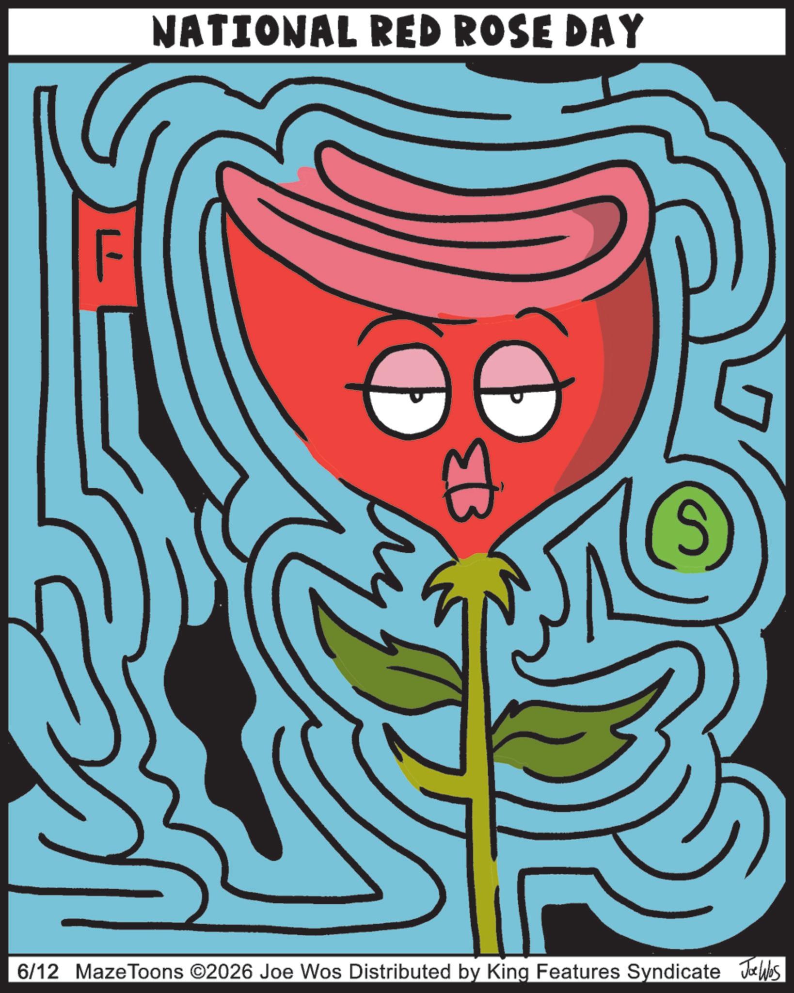 Natural foods OCR: NATIONAL RED ROSE DAY F EB 6/12 Maze Toons ©2026 Joe Wos Distributed by King Features Syndicate Jobs NATIONAL RED ROSE DAY F EB 6/12 Maze Toons © 2026 Joe Wos Distributed by King Features Syndicate Jobs