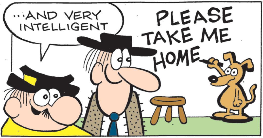Pleased OCR: ...AND VERY INTELLIGENT PLEASE TAKE ME HOME ... AND VERY INTELLIGENT PLEASE TAKE ME HOME