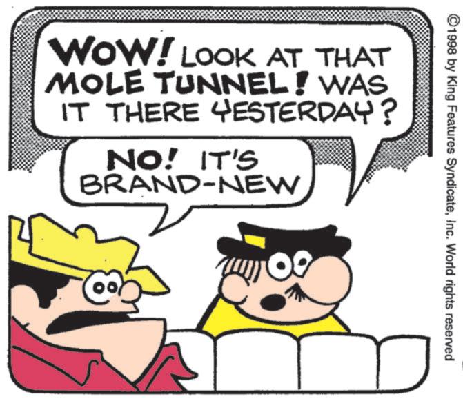 Fictional character OCR: ©1998 by King Features SyndicateInc. World rights reserved WOW! LOOK AT THAT MOLE TUNNEL! WAS IT THERE YESTERDAY? NO! IT'S BRAND-NEW 0 © 1998 by King Features SyndicateInc. World rights reserved WOW ! LOOK AT THAT MOLE TUNNEL ! WAS IT THERE YESTERDAY ? NO ! IT'S BRAND - NEW 0
