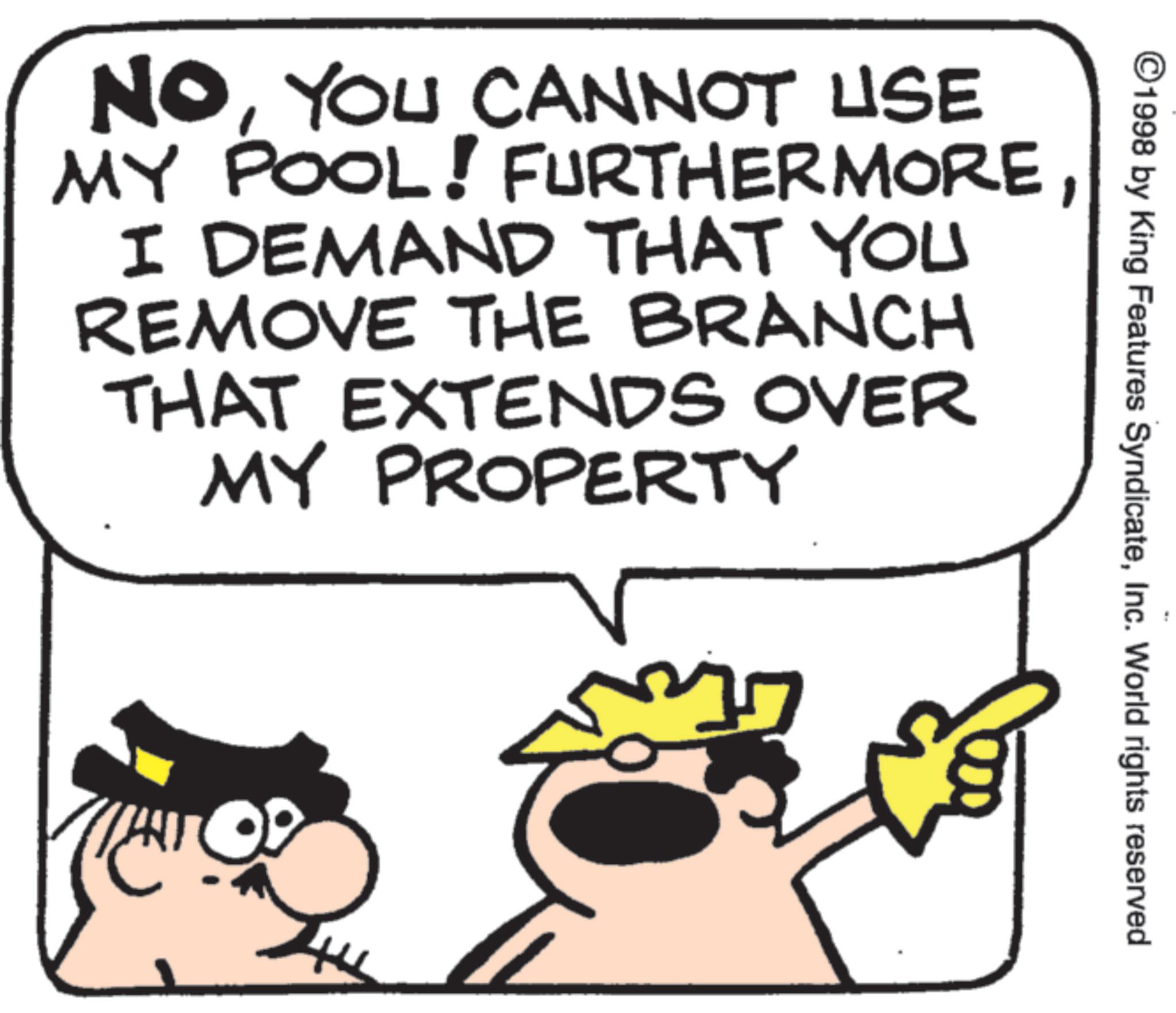 Pleased OCR: ©1998 by King Features SyndicateInc. World rights reserved NOYOU CANNOT USE MY POOL! FURTHERMOREI DEMAND THAT YOU REMOVE THE BRANCH THAT EXTENDS OVER MY PROPERTY © 1998 by King Features SyndicateInc. World rights reserved NOYOU CANNOT USE MY POOL ! FURTHERMOREI DEMAND THAT YOU REMOVE THE BRANCH THAT EXTENDS OVER MY PROPERTY