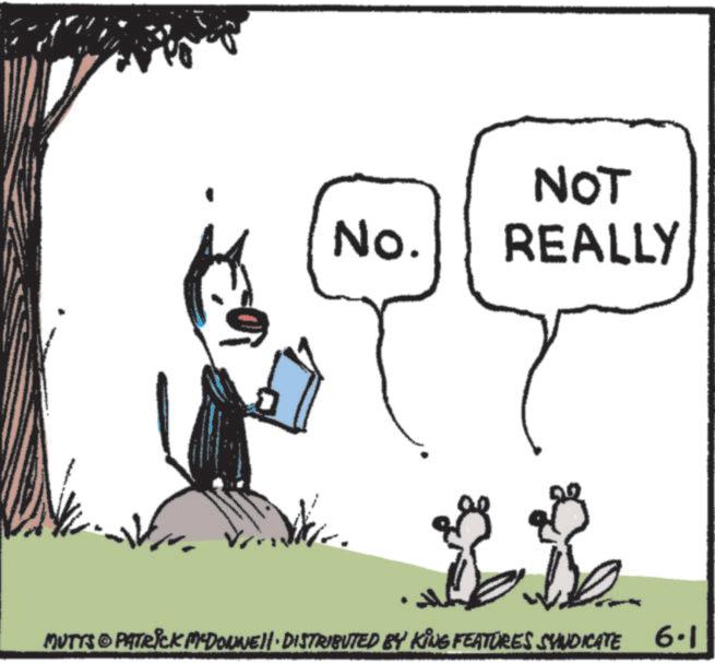 Animated cartoon OCR: NOT No. REALLY MUTTS PATRICK MYDONNE DISTRIBUTED BY KING FEATURES SYNDICATE 6.1 NOT No. REALLY MUTTS PATRICK MYDONNE DISTRIBUTED BY KING FEATURES SYNDICATE 6.1