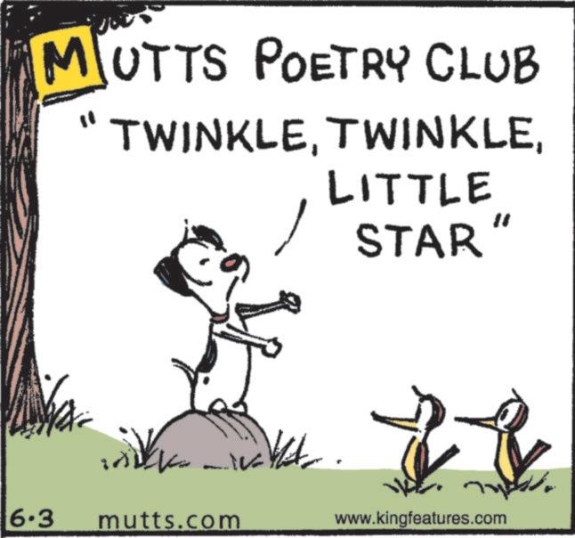 Fiction OCR: MUTTS POETRY CLUB TWINKLELITTLE STAR' 6.3 mutts.com www.kingfeatures.com MUTTS POETRY CLUB TWINKLELITTLE STAR ' 6.3 mutts.com www.kingfeatures.com