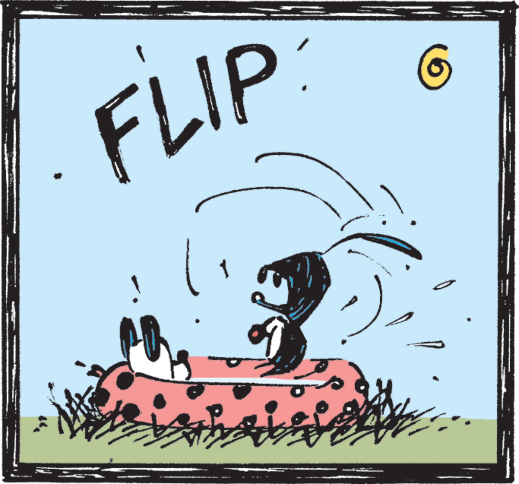 Animation OCR: FLIP FLIP