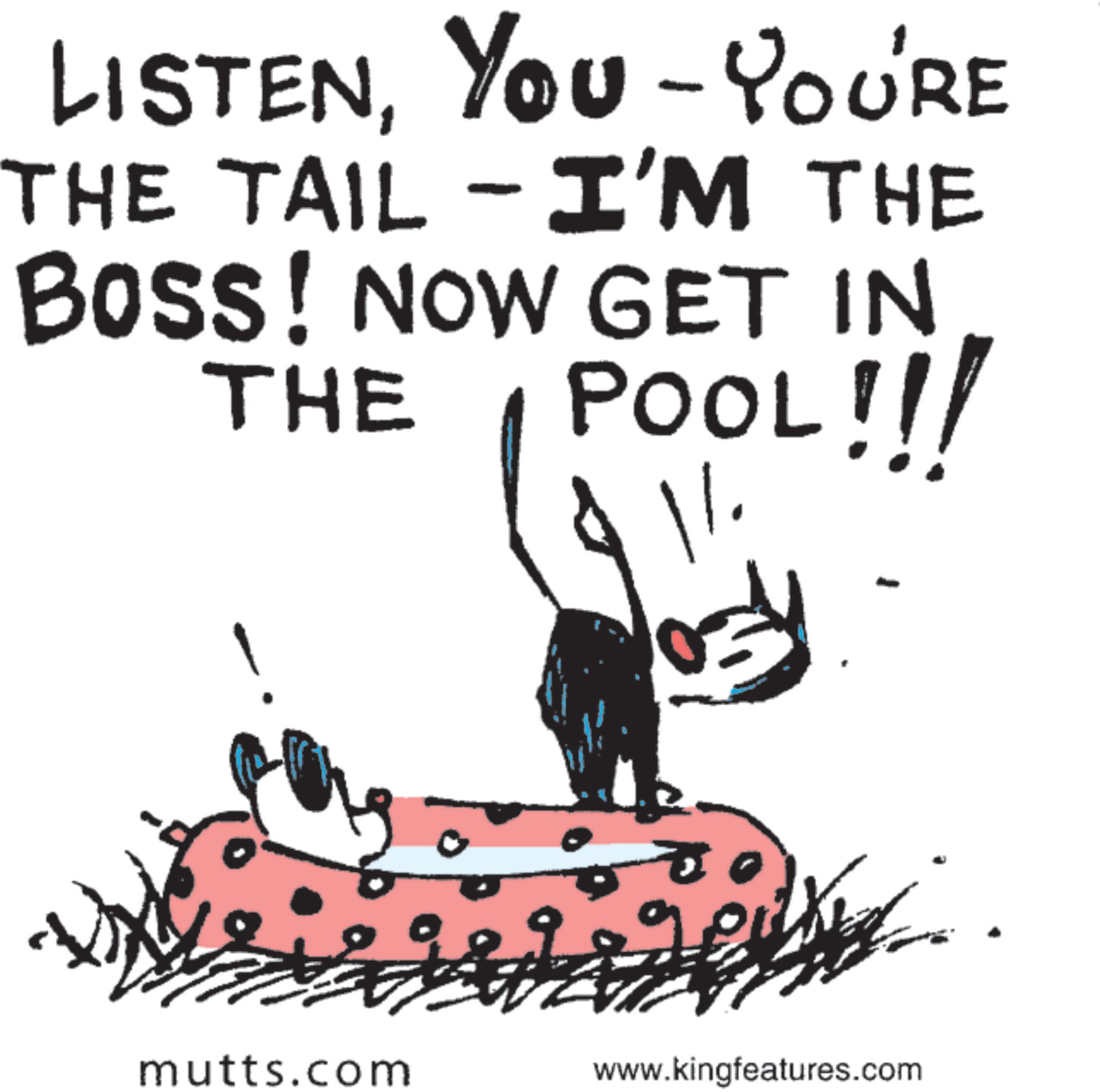 Line art OCR: LISTENYou - YOU'RE THE TAIL - I'M THE BOSS! NOW GET IN THE POOL!!! 03 mutts.com www.kingfeatures.com LISTENYou - YOU'RE THE TAIL - I'M THE BOSS ! NOW GET IN THE POOL !!! 03 mutts.com www.kingfeatures.com