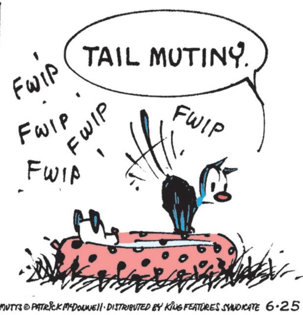 Animated cartoon OCR: Fwip TAIL MUTINY. FWIP FWIP FWIP FWIP MUTTS © PATRICK MYDOUNE|| · DISTRIBUTED BY KING FEATURES SYNDICATE 6.25 Fwip TAIL MUTINY . FWIP FWIP FWIP FWIP MUTTS © PATRICK MYDOUNE || · DISTRIBUTED BY KING FEATURES SYNDICATE 6.25