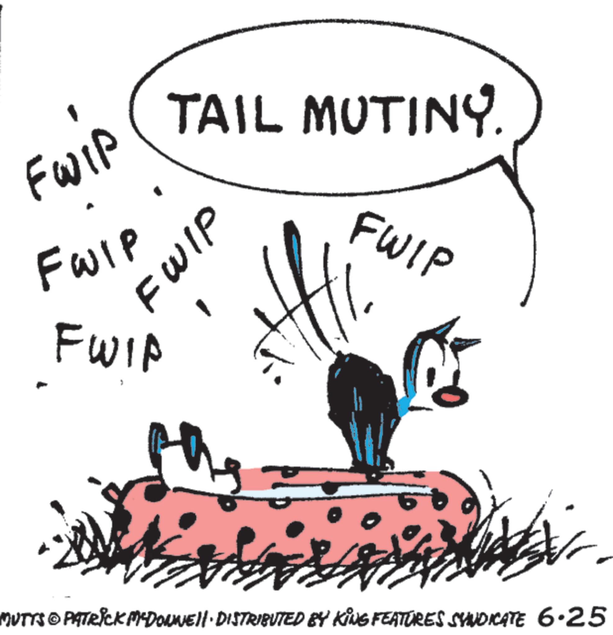 Animated cartoon OCR: Fwip TAIL MUTINY. FWIP FWIP FWIP FWIP MUTTS © PATRICK MYDOUNE|| · DISTRIBUTED BY KING FEATURES SYNDICATE 6.25 Fwip TAIL MUTINY . FWIP FWIP FWIP FWIP MUTTS © PATRICK MYDOUNE || · DISTRIBUTED BY KING FEATURES SYNDICATE 6.25