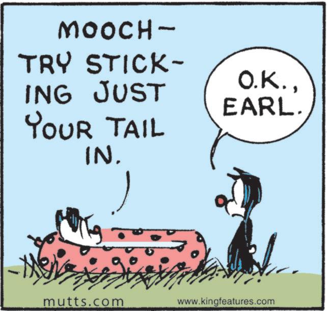 Comics OCR: MOOCH- TRY STICK- O.K.ING JUST YOUR TAIL IN. EARL. mutts.com www.kingfeatures.com MOOCH- TRY STICK- O.K.ING JUST YOUR TAIL IN . EARL . mutts.com www.kingfeatures.com