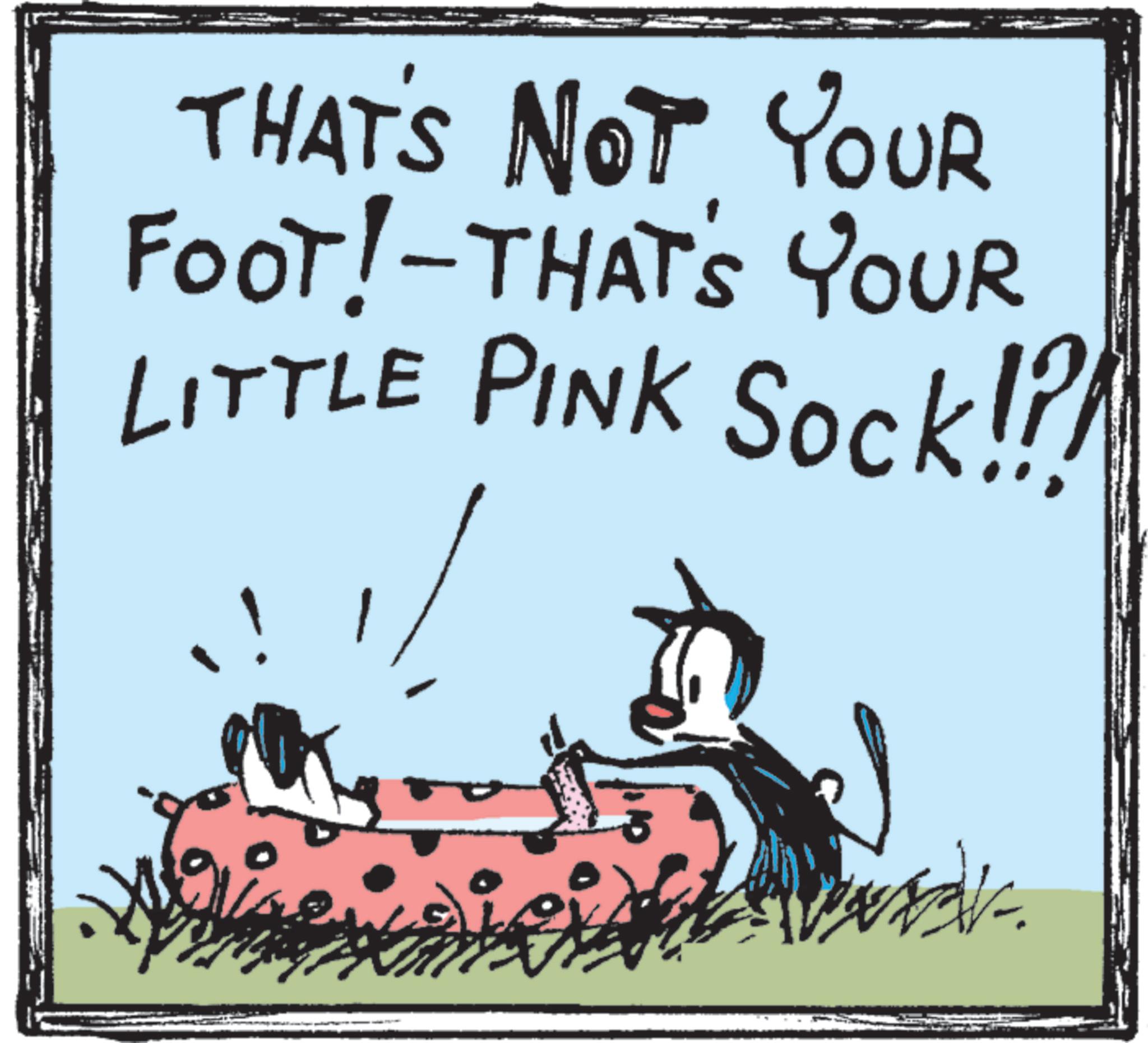 Foot OCR: THAT'S NOT YOUR FOOT! - THAT'S YOUR LITTLE PINK Sock!?/ THAT'S NOT YOUR FOOT ! - THAT'S YOUR LITTLE PINK Sock ! ? /