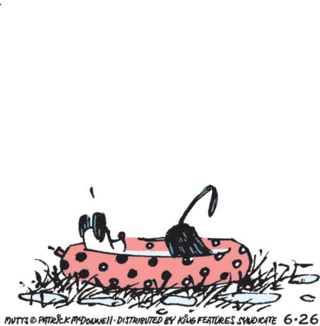 Line art OCR: MUTTS & PATRICK MYDONNELL DISTRIBUTED BY KING FEATURES SYNDICATE 6.26 MUTTS & PATRICK MYDONNELL DISTRIBUTED BY KING FEATURES SYNDICATE 6.26