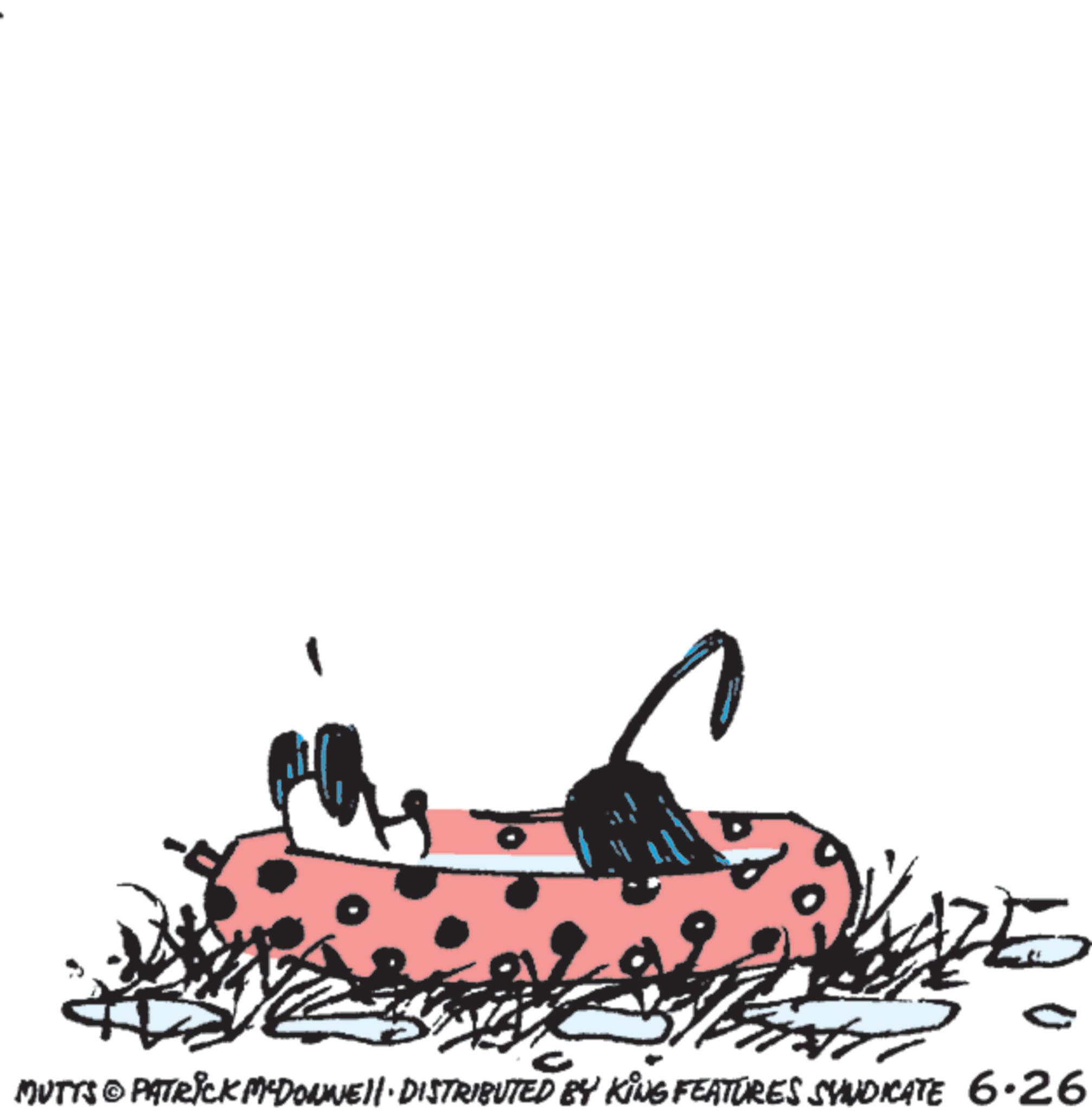 Line art OCR: MUTTS & PATRICK MYDONNELL DISTRIBUTED BY KING FEATURES SYNDICATE 6.26 MUTTS & PATRICK MYDONNELL DISTRIBUTED BY KING FEATURES SYNDICATE 6.26