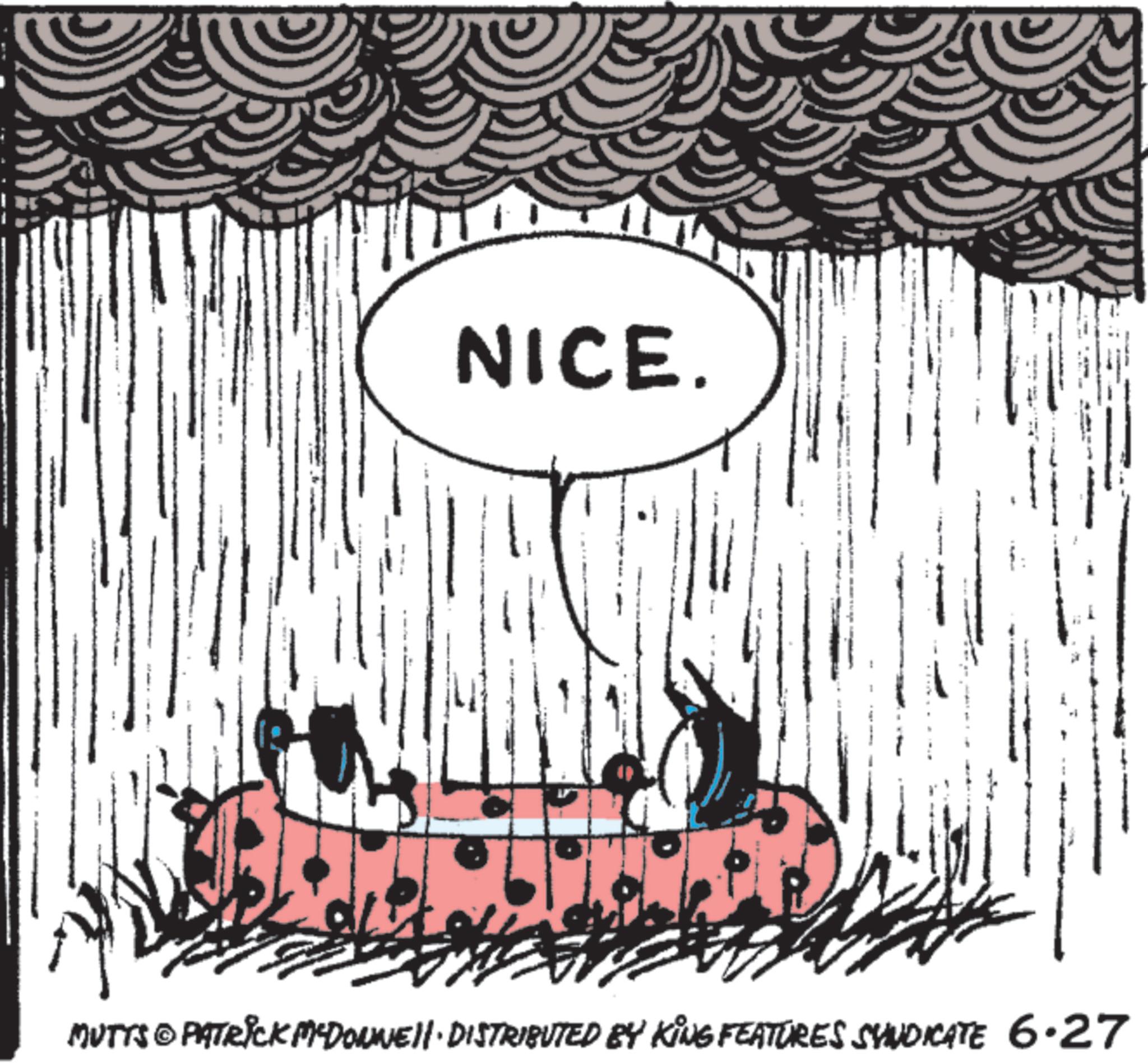 Line art OCR: NICE. MUTTS © PATRICK MADONNEI DISTRIBUTED BY KING FEATURES SYNDICATE 6.27 NICE . MUTTS © PATRICK MADONNEI DISTRIBUTED BY KING FEATURES SYNDICATE 6.27