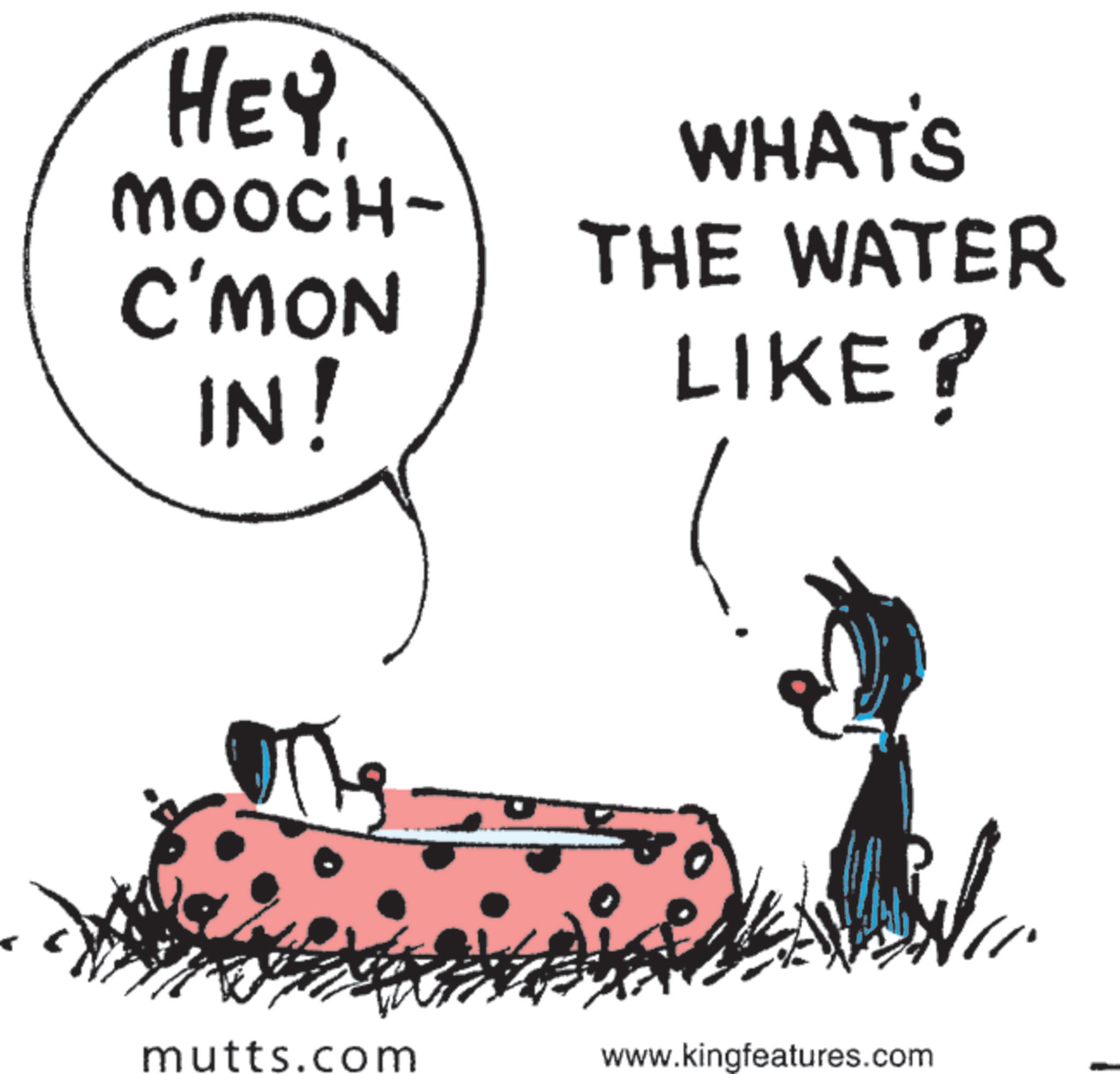 Animation OCR: HEY MOOCH- C'MON IN! WHAT'S THE WATER LIKE? mutts.com www.kingfeatures.com HEY MOOCH- C'MON IN ! WHAT'S THE WATER LIKE ? mutts.com www.kingfeatures.com