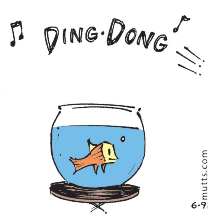 Graphic design OCR: ? DINGDONG 6.9 O mutts.com !!! ? DINGDONG 6.9 O mutts.com !!!