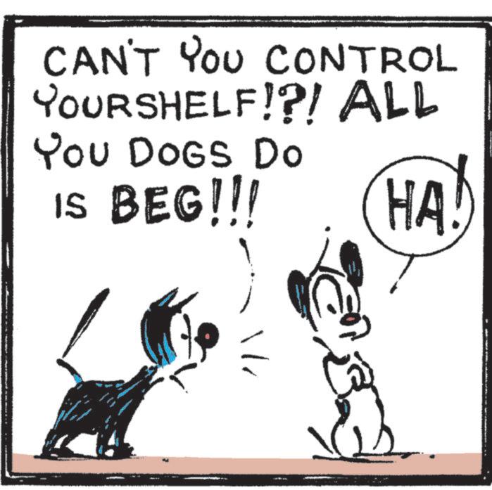 Tail OCR: CAN'T YOU CONTROL YOURSHELF!?! ALL You DOGS Do IS BEG!!! HA! "|CAN'T YOU CONTROL YOURSHELF ! ? ! ALL You DOGS Do IS BEG !!! HA ! " |