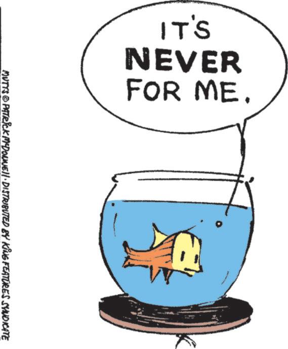 Clip art OCR: IT'S NEVER FOR ME. M MUTTS© PATRICK MEDOUNE DISTRIBUTED BY KING FEATURES SYNDICATE IT'S NEVER FOR ME . M MUTTS © PATRICK MEDOUNE DISTRIBUTED BY KING FEATURES SYNDICATE