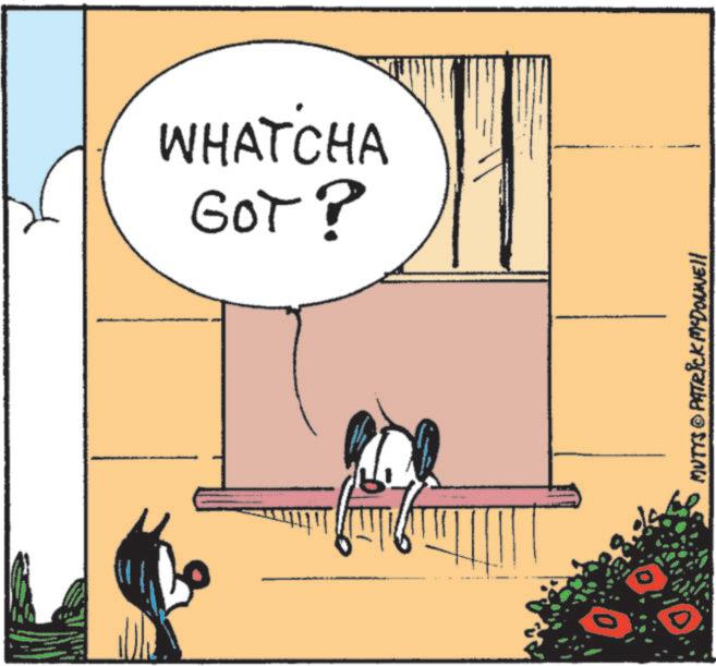 Publication OCR: Liti MUTTS © PATRICK MYDONNEll GOT? WHATCHA Liti MUTTS © PATRICK MYDONNEll GOT ? WHATCHA