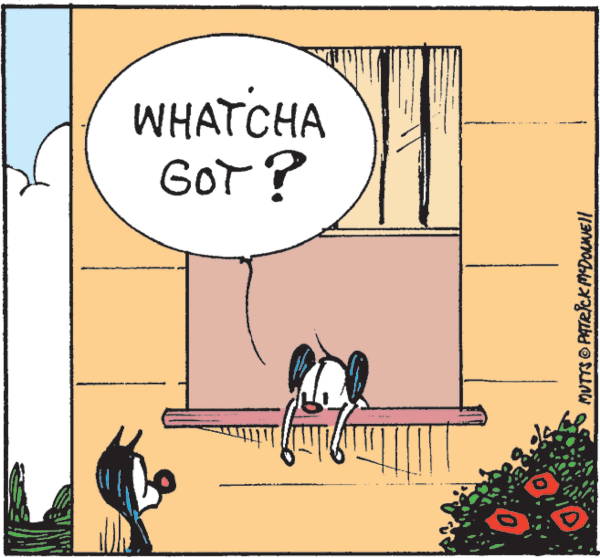 Publication OCR: Liti MUTTS © PATRICK MYDONNEll GOT? WHATCHA Liti MUTTS © PATRICK MYDONNEll GOT ? WHATCHA