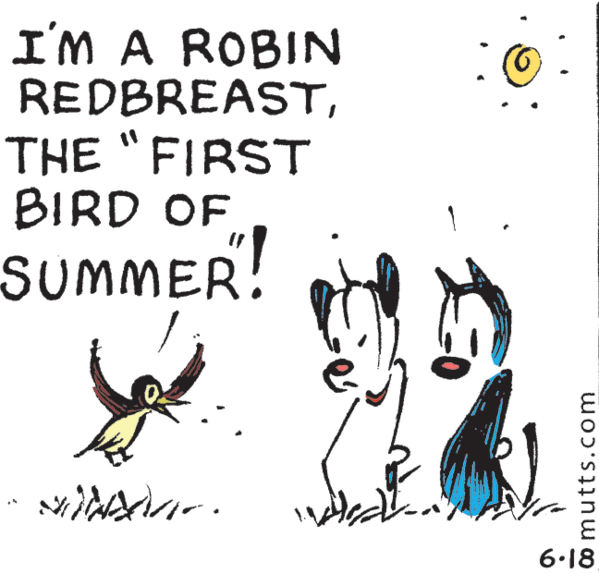 Line art OCR: I'M A ROBIN REDBREASTTHE "FIRST BIRD OF SUMMER! E mutts.com 6.18 I'M A ROBIN REDBREASTTHE " FIRST BIRD OF SUMMER ! E mutts.com 6.18