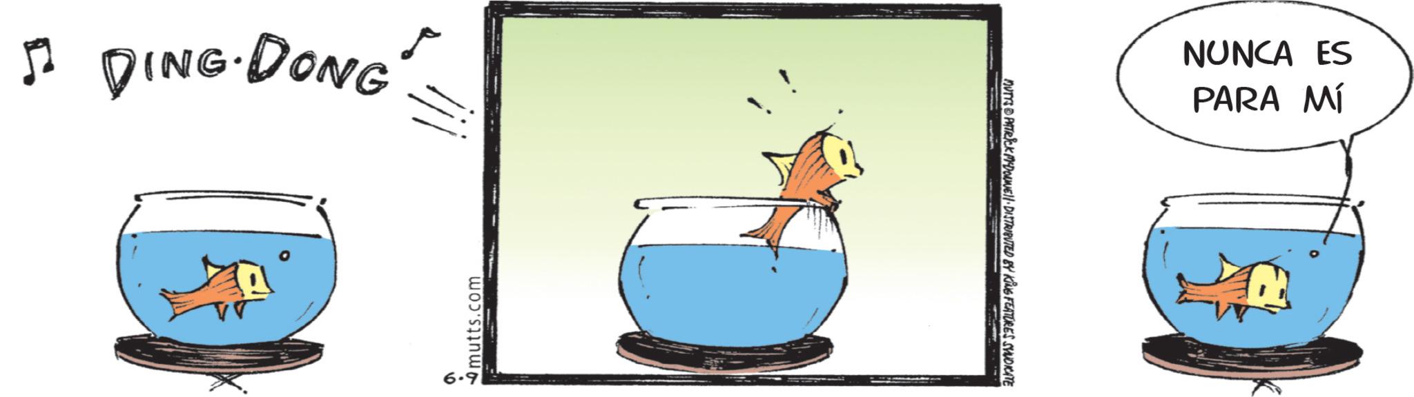Photo caption OCR: ? DINGDONG 5 mutts.com MUTTS PATRICK MADONNE DISTRIBUTED BY KING FEATURES SYNDICATE NUNCA ES PARA MÍ ? DINGDONG 5 mutts.com MUTTS PATRICK MADONNE DISTRIBUTED BY KING FEATURES SYNDICATE NUNCA ES PARA MÍ