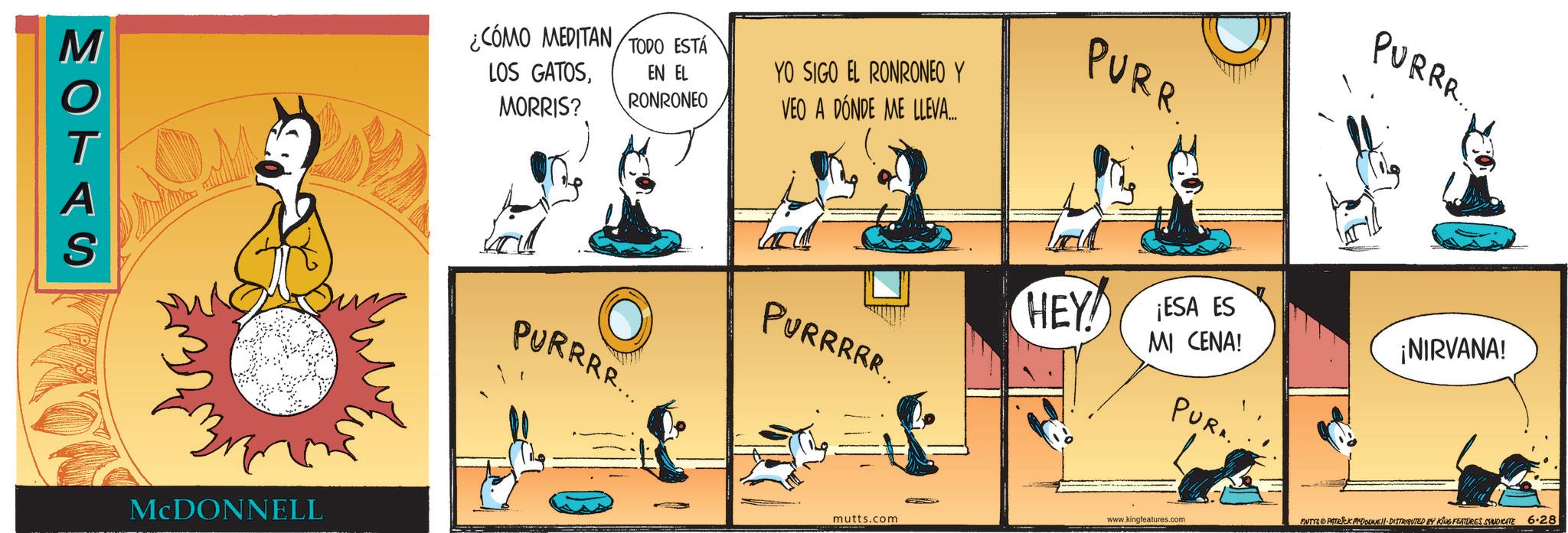 Comic book OCR: M KOTAS ¿CÓMO MEDITAN LOS GATOSMORRIS? TODO ESTÁ EN EL RONRONEO YO SIGO EL RONRONEO Y VEO A DÓNDE ME LLEVA.... MCDONNELL PURRRR... PURR HEY! PURRRRR. ¡ESA ES MI CENA! PURA. PURRR. ¡NIRVANA! mutts.com www.kingfeatures.com MUTTS PATRICK M-DOUNE DISTRIBUTED BY KING FEATURES SYNDICATE 6.28 M KOTAS ¿ CÓMO MEDITAN LOS GATOSMORRIS ? TODO ESTÁ EN EL RONRONEO YO SIGO EL RONRONEO Y VEO A DÓNDE ME LLEVA .... MCDONNELL PURRRR ... PURR HEY ! PURRRRR . ¡ ESA ES MI CENA ! PURA . PURRR . ¡ NIRVANA ! mutts.com www.kingfeatures.com MUTTS PATRICK M - DOUNE DISTRIBUTED BY KING FEATURES SYNDICATE 6.28