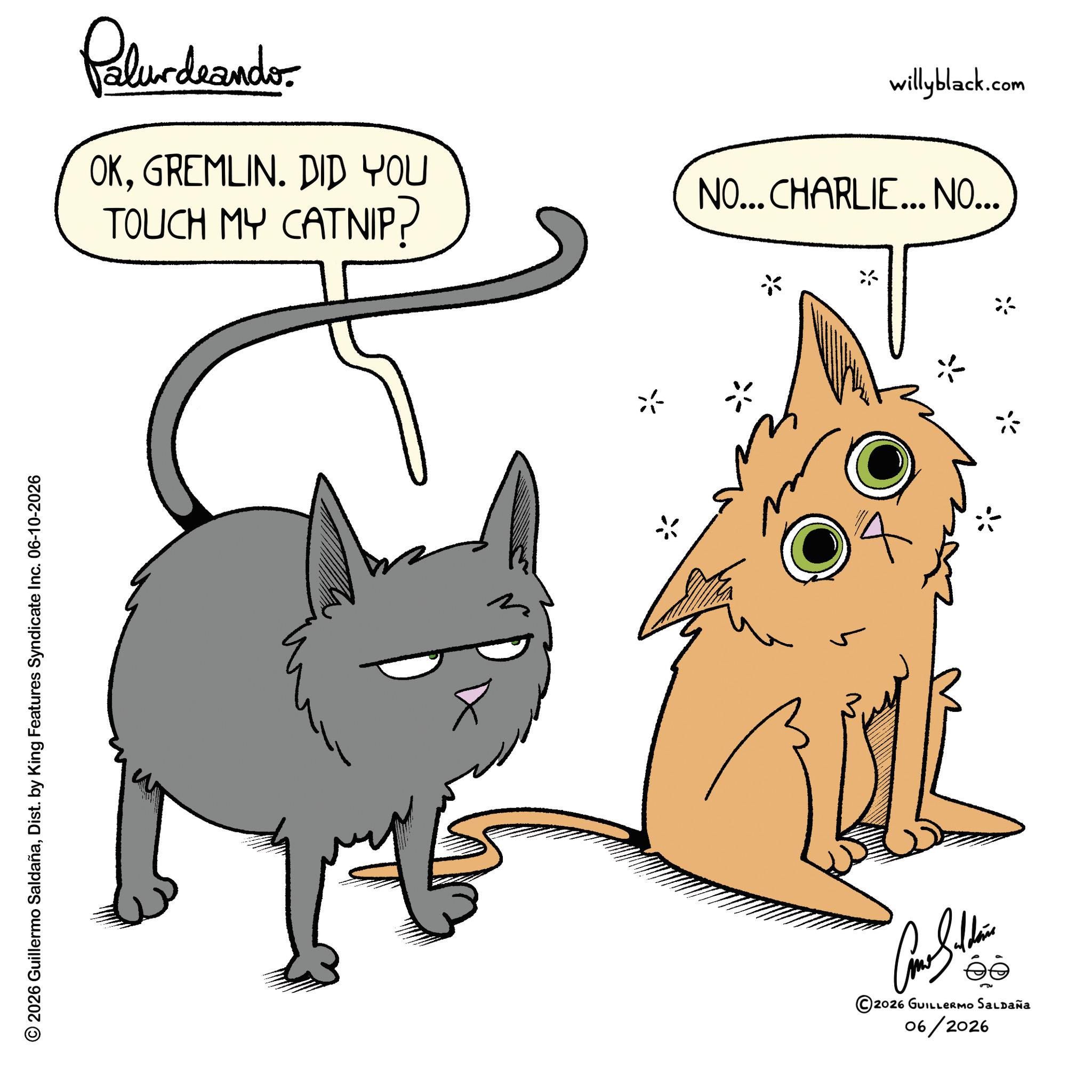 Animation OCR: © 2026 Guillermo SaldañaDist. by King Features Syndicate Inc. 06-10-2026 Palurdeando OKGREMLIN. DID YOU TOUCH MY CATNIP? willyblack.com NO... CHARLIE... NO... 5 ©2026 GUILLERMO SALDAÑA 06/2026 © 2026 Guillermo SaldañaDist . by King Features Syndicate Inc. 06-10-2026 Palurdeando OKGREMLIN . DID YOU TOUCH MY CATNIP ? willyblack.com NO ... CHARLIE ... NO ... 5 © 2026 GUILLERMO SALDAÑA 06/2026