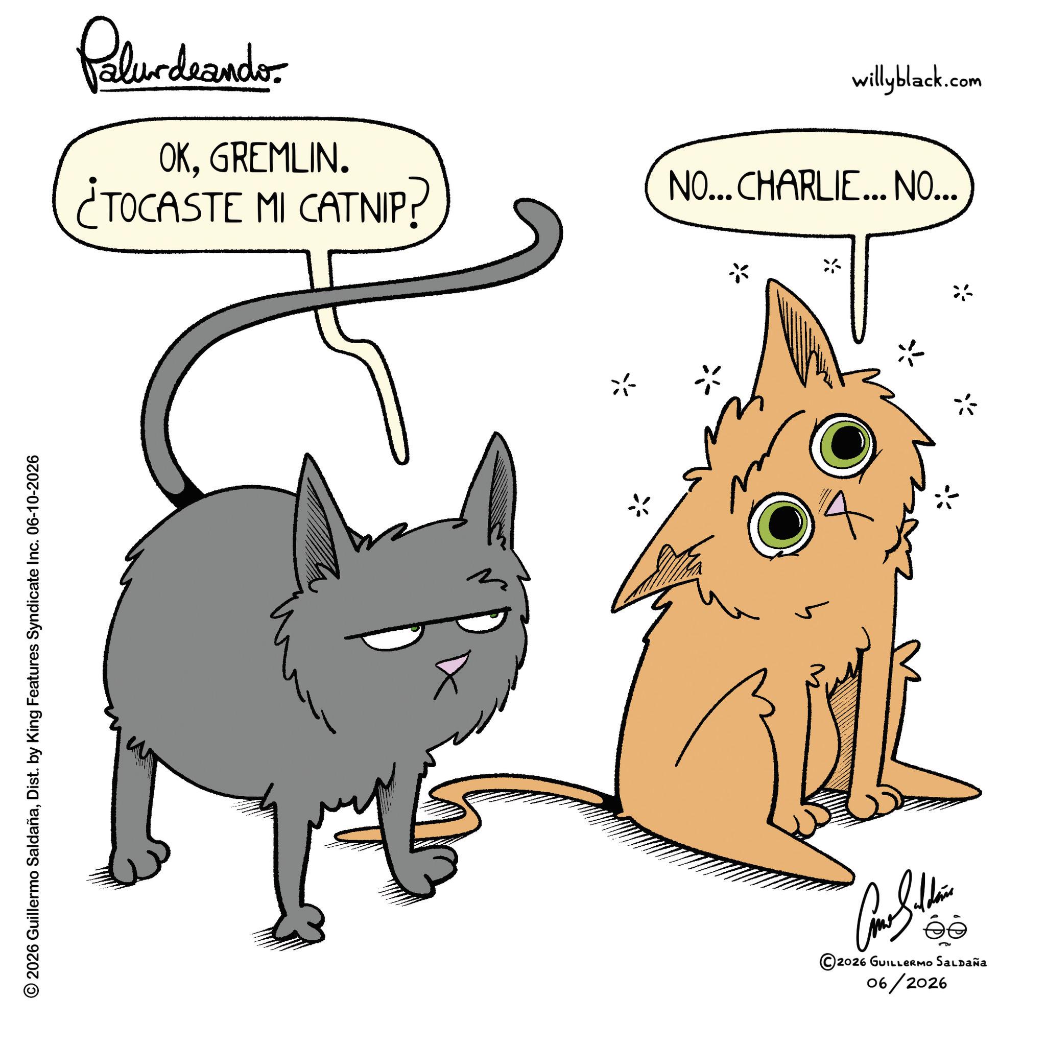 Animation OCR: © 2026 Guillermo SaldañaDist. by King Features Syndicate Inc. 06-10-2026 Palurdeando OKGREMLIN. ¿TOCASTE MI CATNIP? willyblack.com NO... CHARLIE... NO... 5 ©2026 GUILLERMO SALDAÑA 06/2026 © 2026 Guillermo SaldañaDist . by King Features Syndicate Inc. 06-10-2026 Palurdeando OKGREMLIN . ¿ TOCASTE MI CATNIP ? willyblack.com NO ... CHARLIE ... NO ... 5 © 2026 GUILLERMO SALDAÑA 06/2026