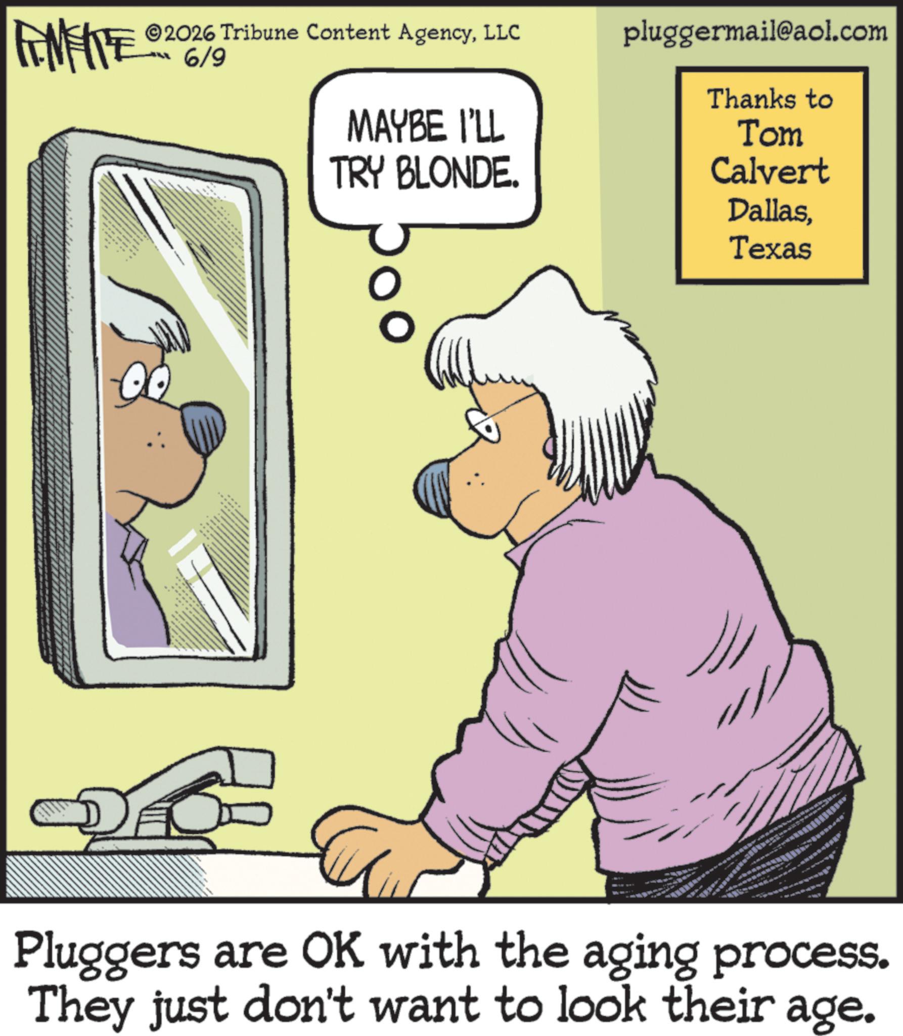 Working animal OCR: FINITE ? 2026 Tribune Content AgencyLLC pluggermail@aol.com -6/9 www MAYBE I'LL TRY BLONDE. Thanks to Tom Calvert DallasTexas Pluggers are OK with the aging process. They just don't want to look their age. FINITE ? 2026 Tribune Content AgencyLLC pluggermail@aol.com -6/9 www MAYBE I'LL TRY BLONDE . Thanks to Tom Calvert DallasTexas Pluggers are OK with the aging process . They just don't want to look their age .