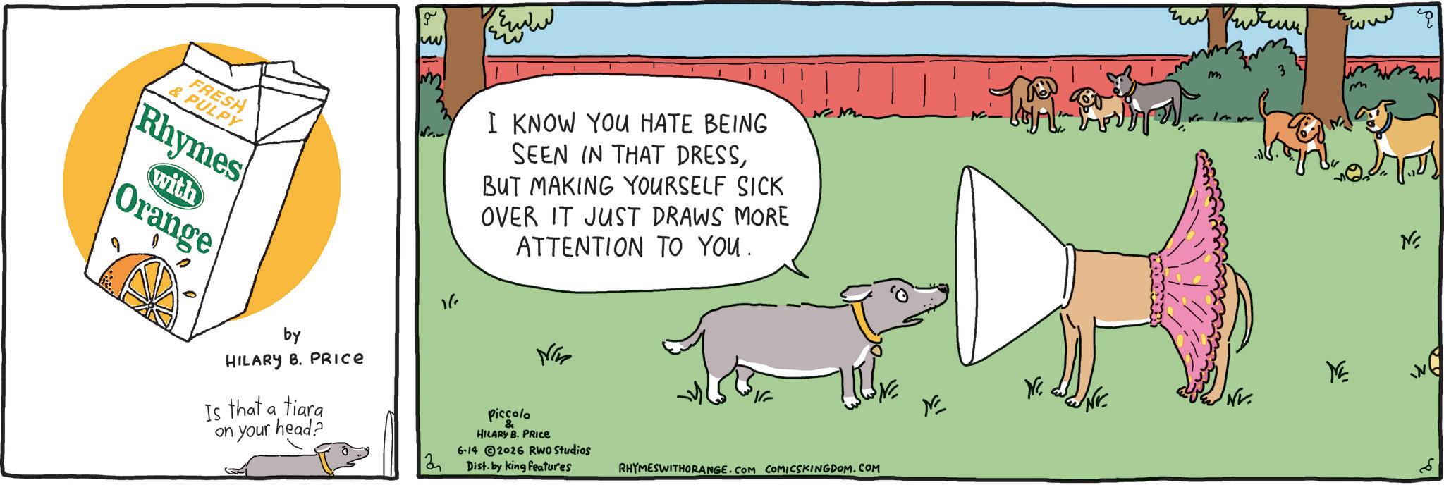 Canidae OCR: g www w FRESH & PULPY Rhymes with Orange by HILARY B. PRICE Is that a tiara 16 on your head? 2 I KNOW YOU HATE BEING SEEN IN THAT DRESSBUT MAKING YOURSELF SICK OVER IT JUST DRAWS MORE ATTENTION TO YOU. NG piccolo & HILARY B. PRICE 6-14 2026 RWO Studios Dist. by king features RHYMESWITHORANGE.COM COMICSKINGDOM.COM m 3 E XE NV. N g www w FRESH & PULPY Rhymes with Orange by HILARY B. PRICE Is that a tiara 16 on your head ? 2 I KNOW YOU HATE BEING SEEN IN THAT DRESSBUT MAKING YOURSELF SICK OVER IT JUST DRAWS MORE ATTENTION TO YOU . NG piccolo & HILARY B. PRICE 6-14 2026 RWO Studios Dist . by king features RHYMESWITHORANGE.COM COMICSKINGDOM.COM m 3 E XE NV . N